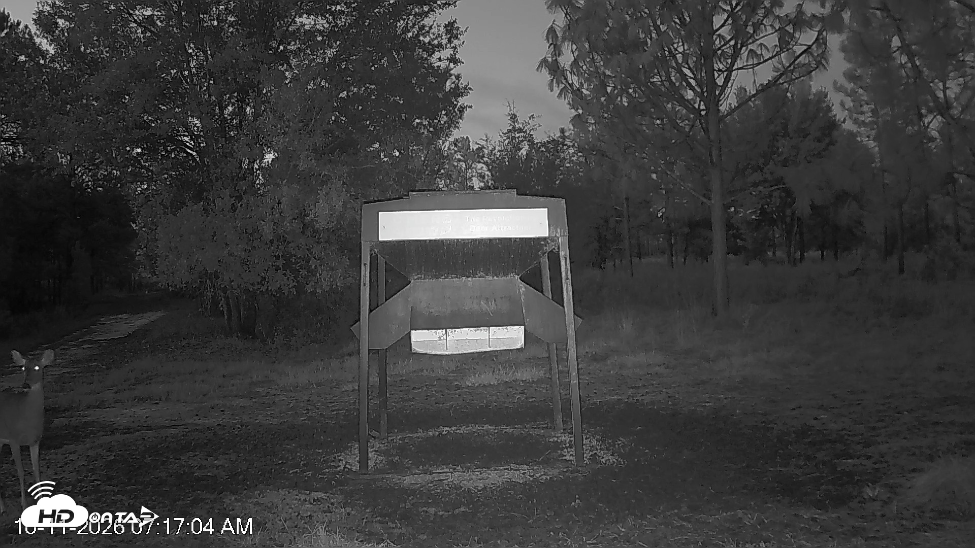 Snapshot of Leesburg Georgia Live Deer Feeder Webcam taken Oct 11, 2026, 7:16am EDT