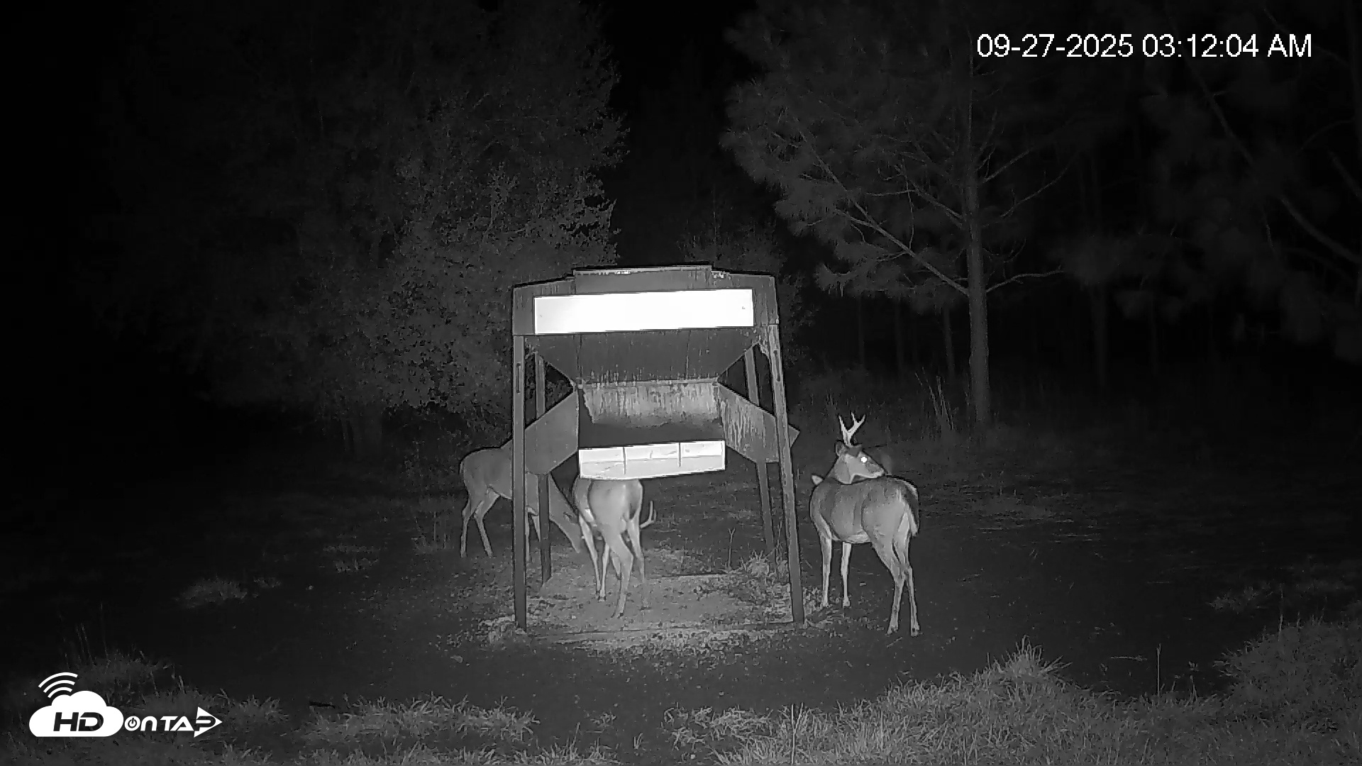 Snapshot of Leesburg Georgia Live Deer Feeder Webcam taken Sep 27, 2025, 3:11am EDT