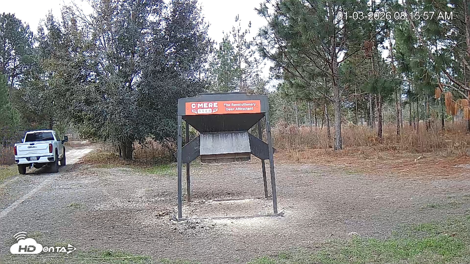 Snapshot of Leesburg Georgia Live Deer Feeder Webcam taken Jan 3, 2026, 8:19am EST