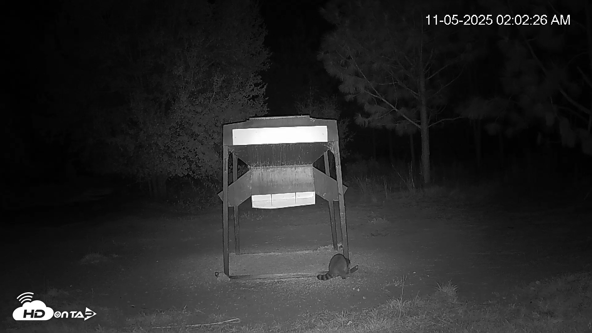 Snapshot of Leesburg Georgia Live Deer Feeder Webcam taken Nov 5, 2025, 2:02am EST