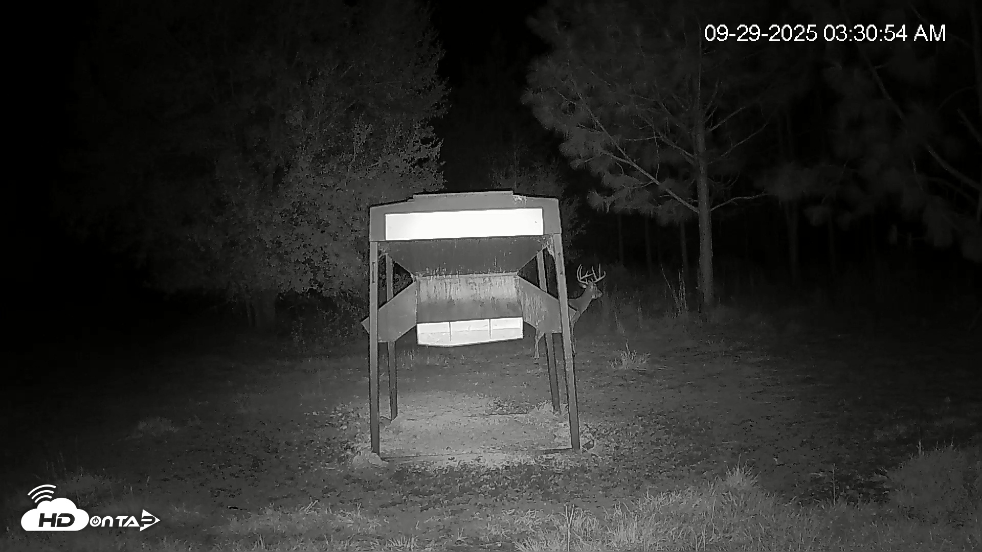 Snapshot of Leesburg Georgia Live Deer Feeder Webcam taken Sep 29, 2025, 3:30am EDT