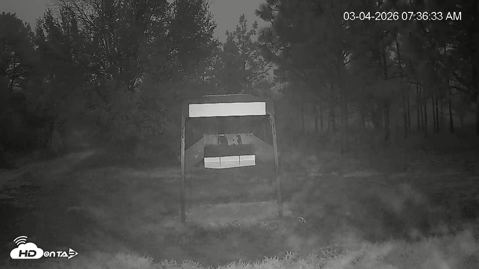 Snapshot of Leesburg Georgia Live Deer Feeder Webcam taken Mar 4, 2026, 6:37am EST