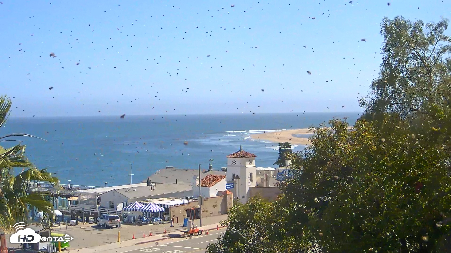 Snapshot of Malibu Pier Cam Live Cam taken May 21, 2025, 3:47pm PDT