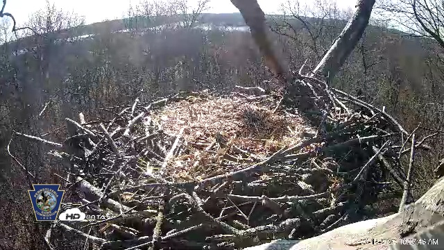 Snapshot of Hanover Eagles Live Cam taken Mar 14, 2026, 10:08am EDT