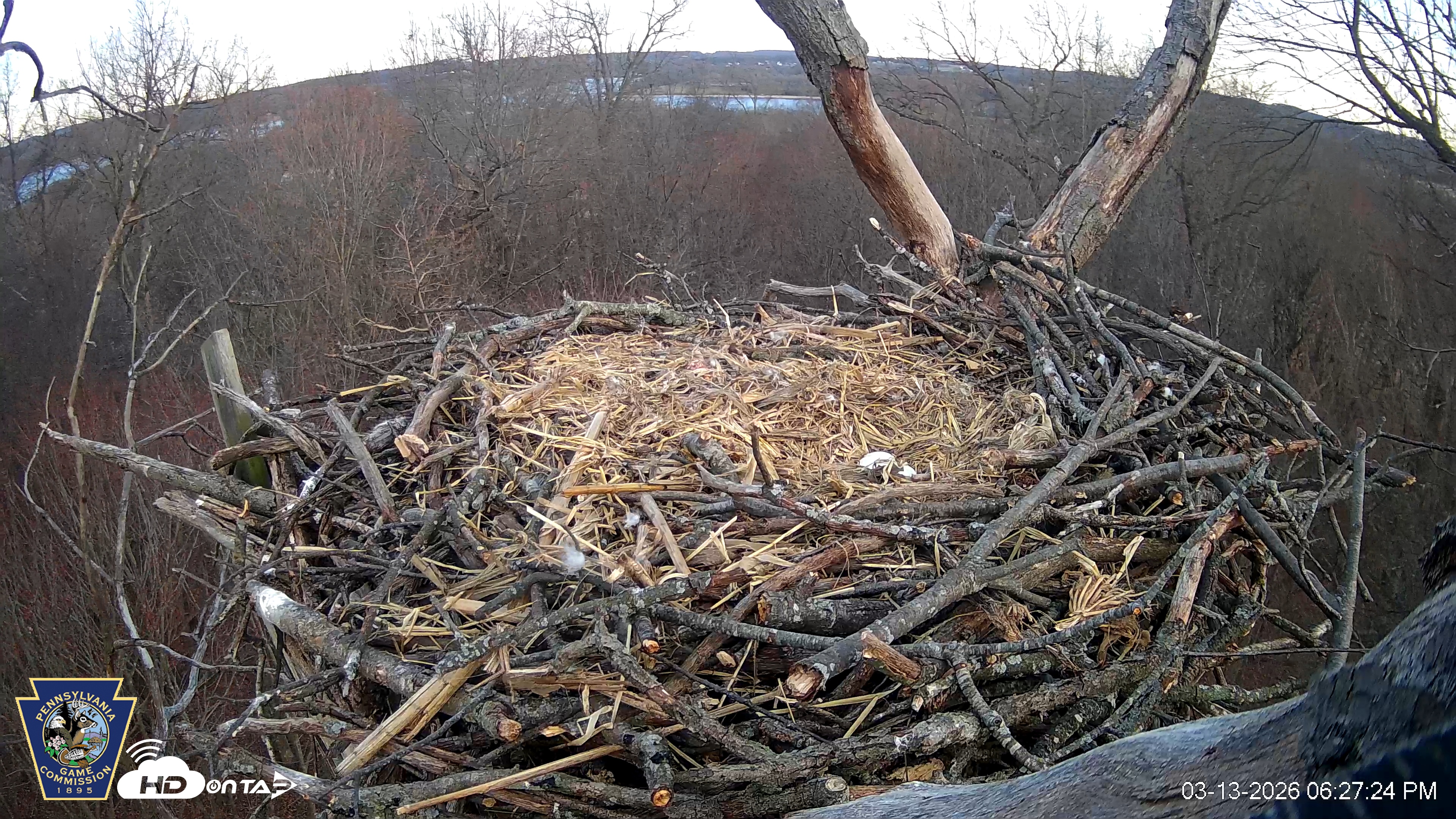 Snapshot of Hanover Eagles Live Cam taken Mar 13, 2026, 6:27pm EDT