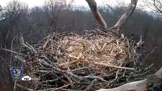 Snapshot of Hanover Eagles Live Cam taken Jan 6, 2026, 7:39am EST