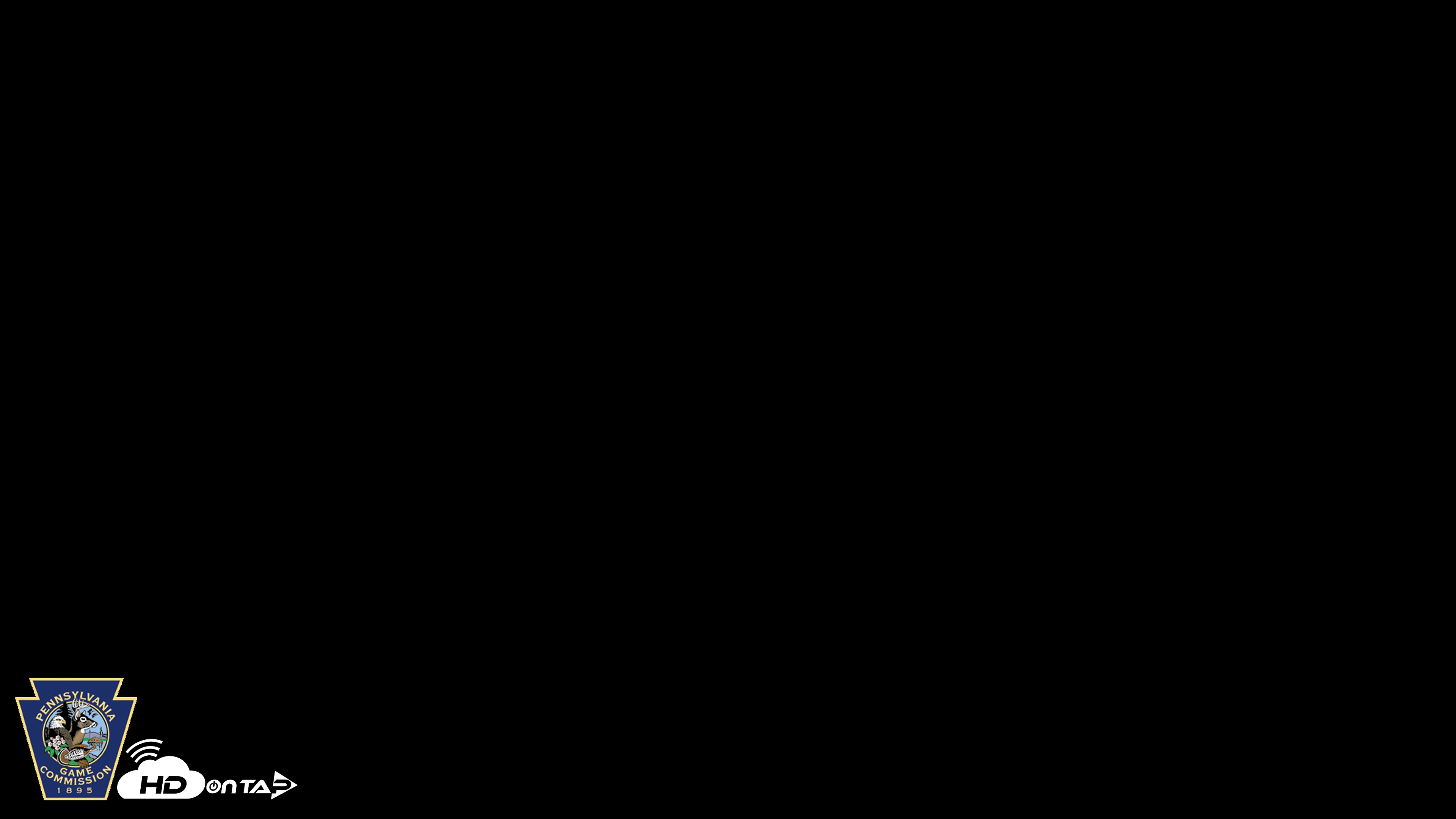 Snapshot of Hanover Eagles Live Cam taken Apr 12, 2026, 11:44am EDT