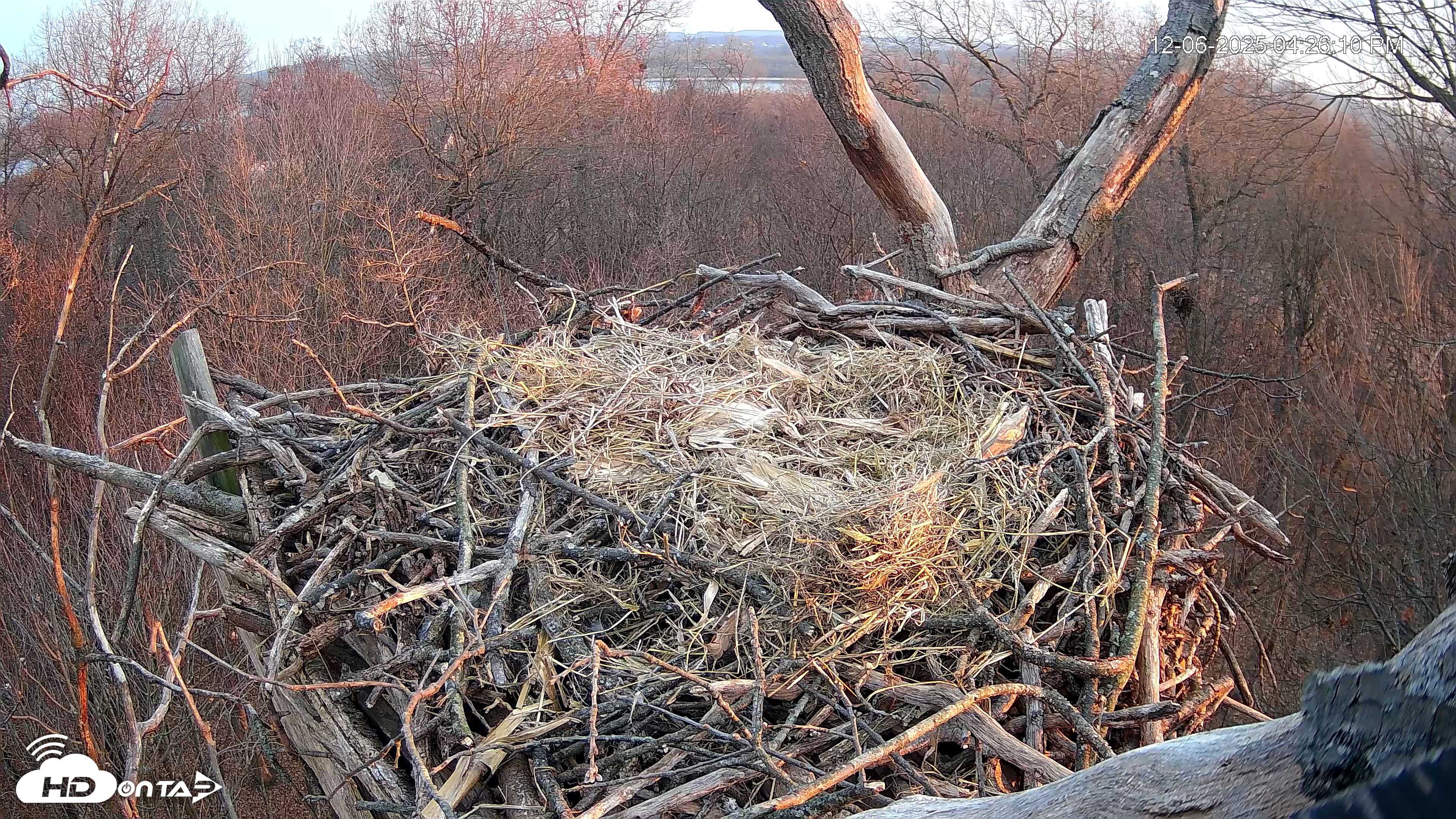 Snapshot of Hanover Eagles Live Cam taken Dec 6, 2025, 4:26pm EST