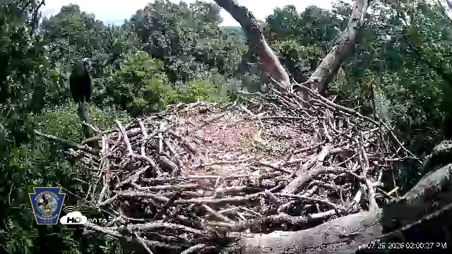 Snapshot of Hanover Eagles Live Cam taken Jul 29, 2026, 2:01pm EDT