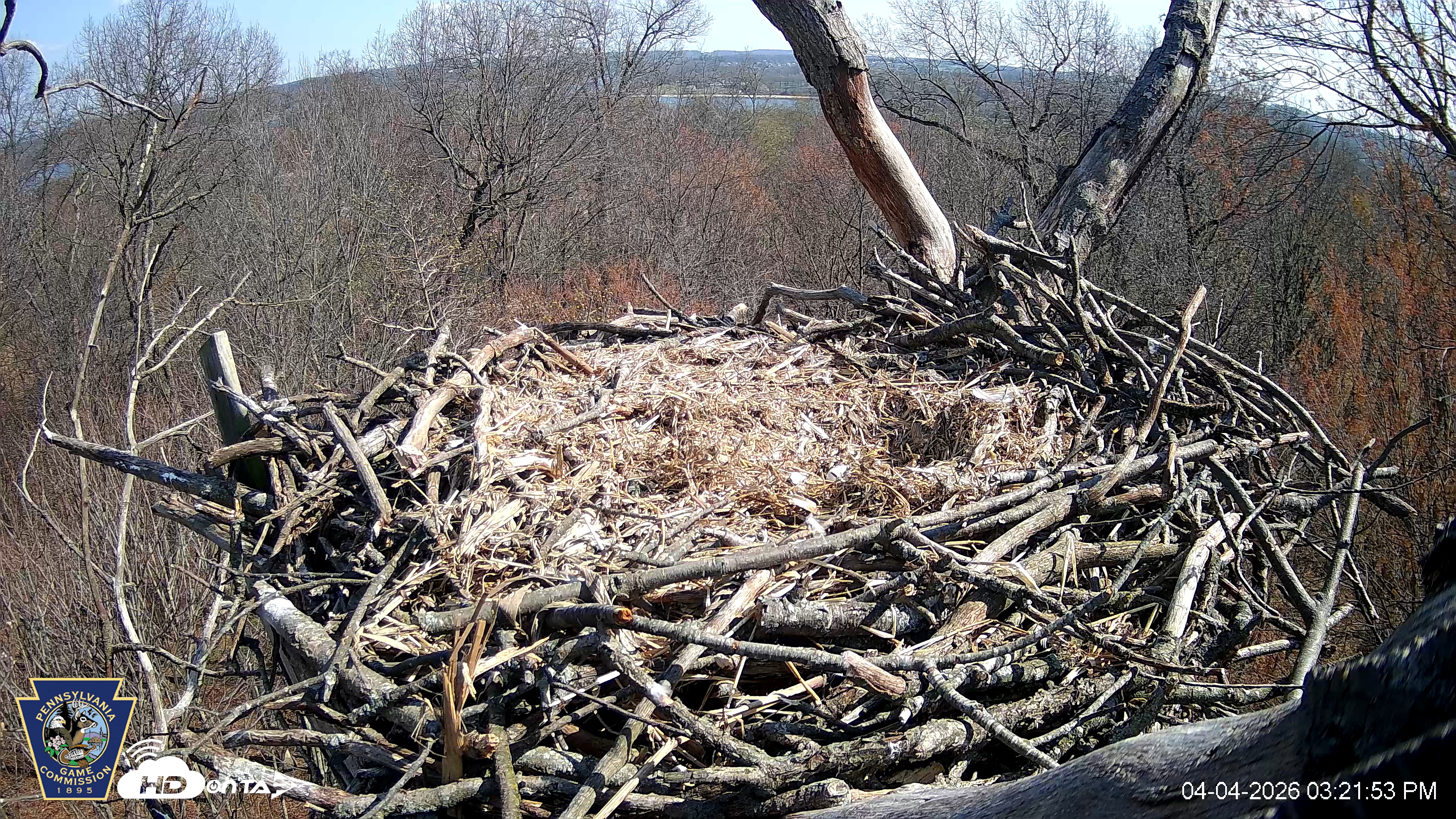 Snapshot of Hanover Eagles Live Cam taken Apr 4, 2026, 3:22pm EDT