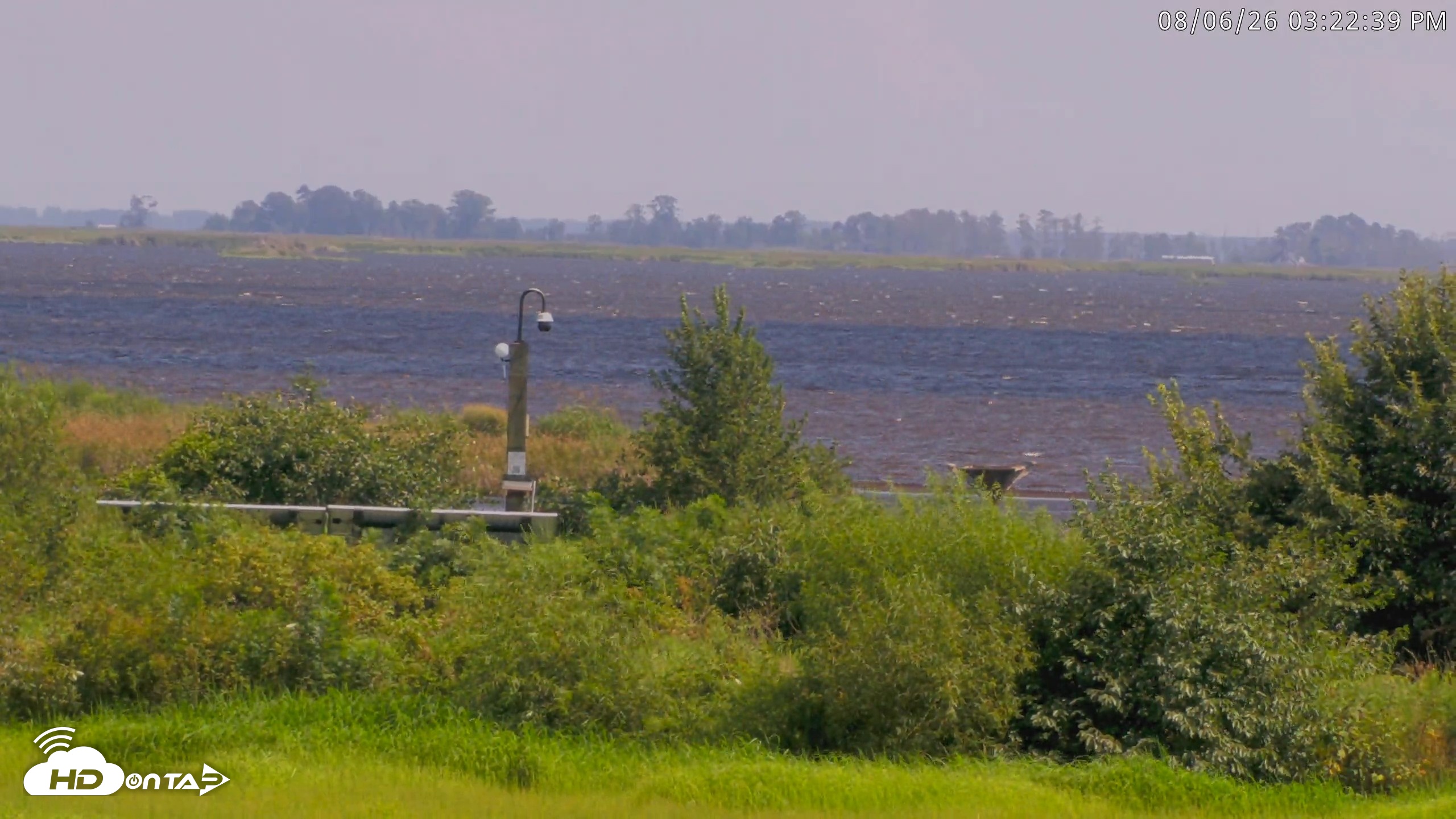 Snapshot of Blackwater Wildlife Refuge Waterfowl Live Webcam taken Aug 6, 2026, 3:23pm EDT