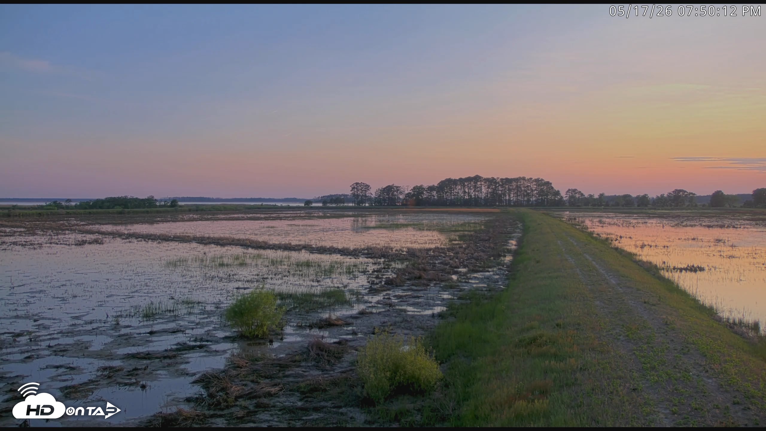 Snapshot of Blackwater Wildlife Refuge Waterfowl Live Webcam taken May 17, 2026, 7:50pm EDT