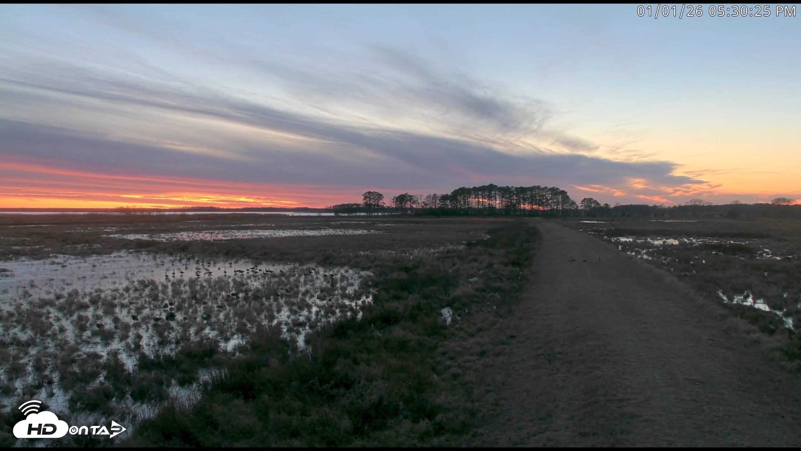 Snapshot of Blackwater Wildlife Refuge Waterfowl Live Webcam taken Jan 1, 2026, 5:28pm EST