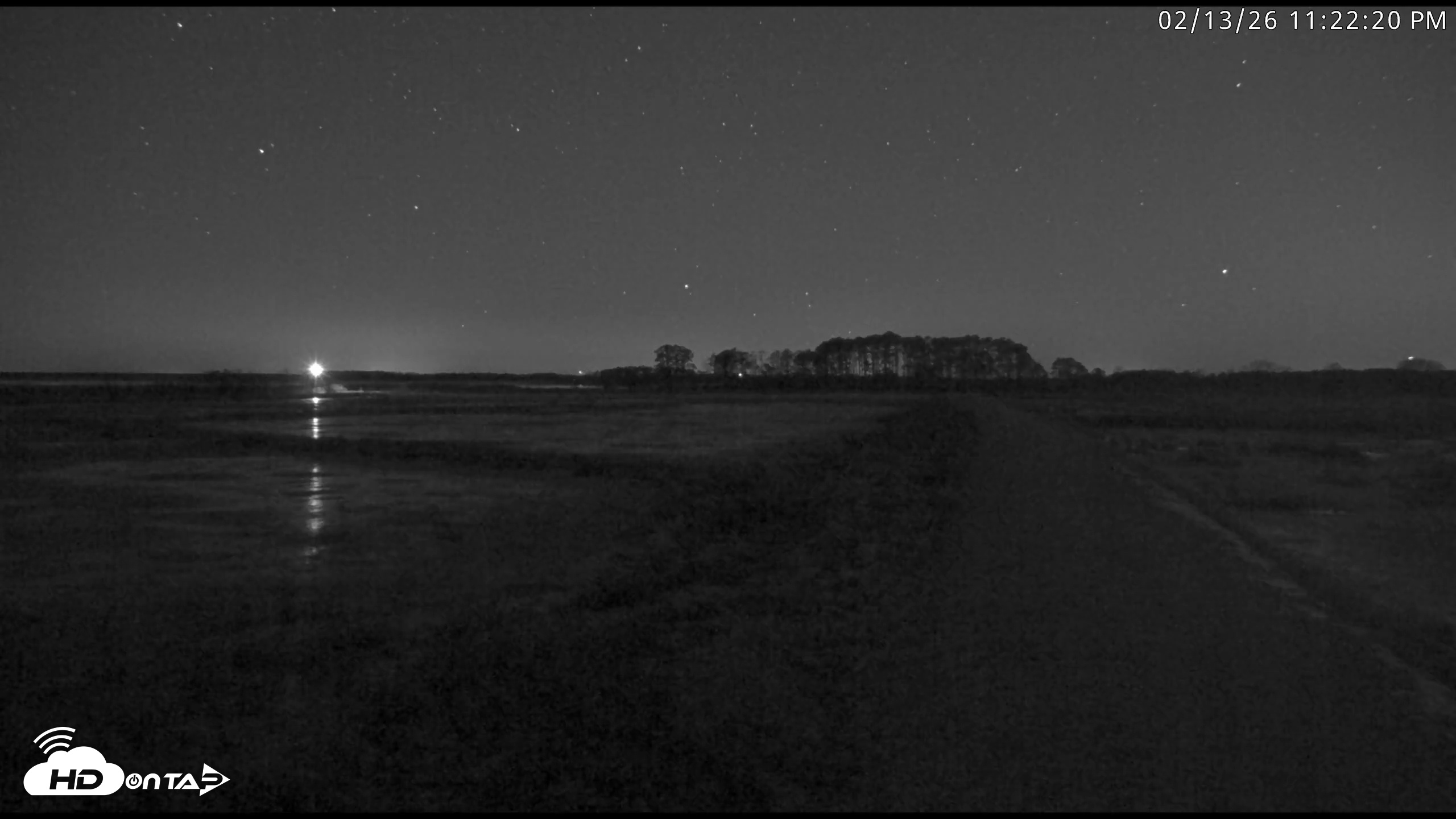 Snapshot of Blackwater Wildlife Refuge Waterfowl Live Webcam taken Feb 13, 2026, 11:23pm EST