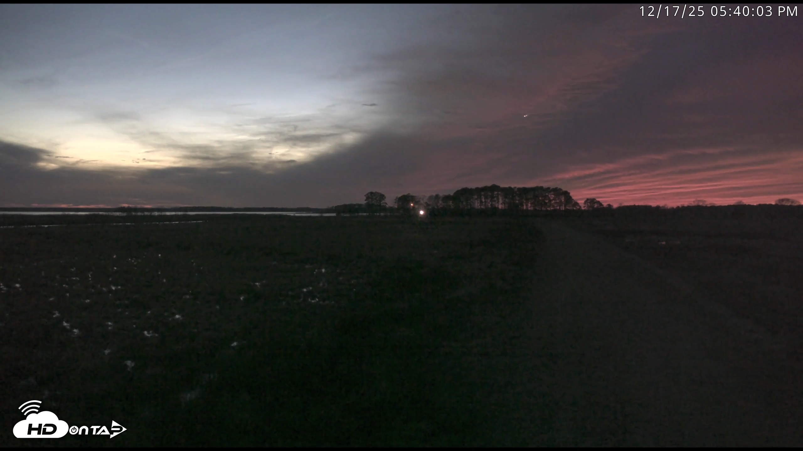 Snapshot of Blackwater Wildlife Refuge Waterfowl Live Webcam taken Dec 17, 2025, 5:38pm EST