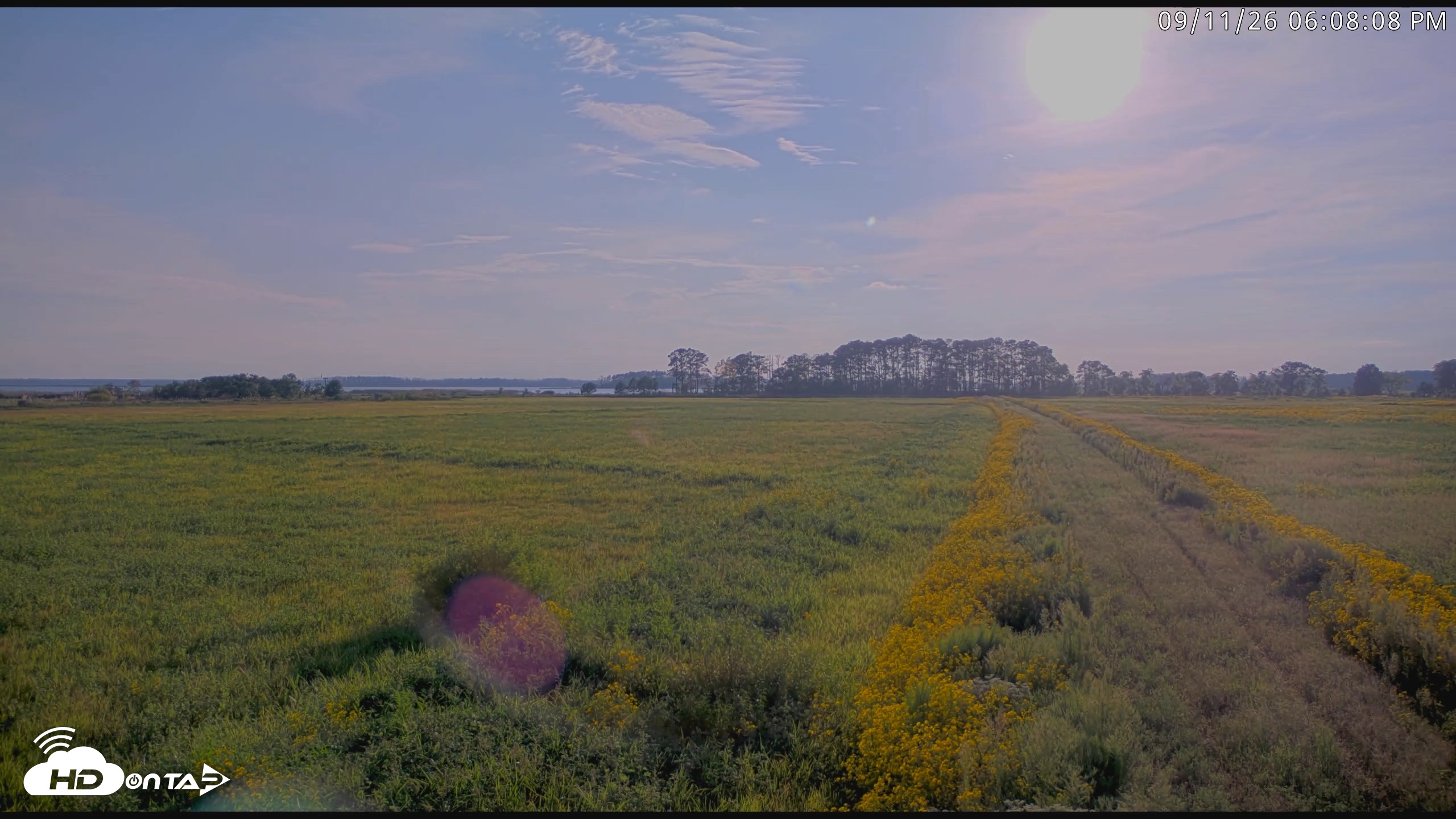 Snapshot of Blackwater Wildlife Refuge Waterfowl Live Webcam taken Sep 11, 2026, 6:08pm EDT