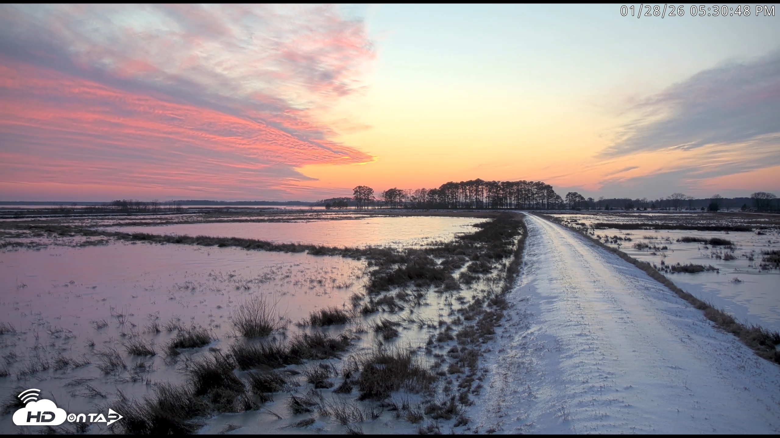 Snapshot of Blackwater Wildlife Refuge Waterfowl Live Webcam taken Jan 28, 2026, 5:31pm EST