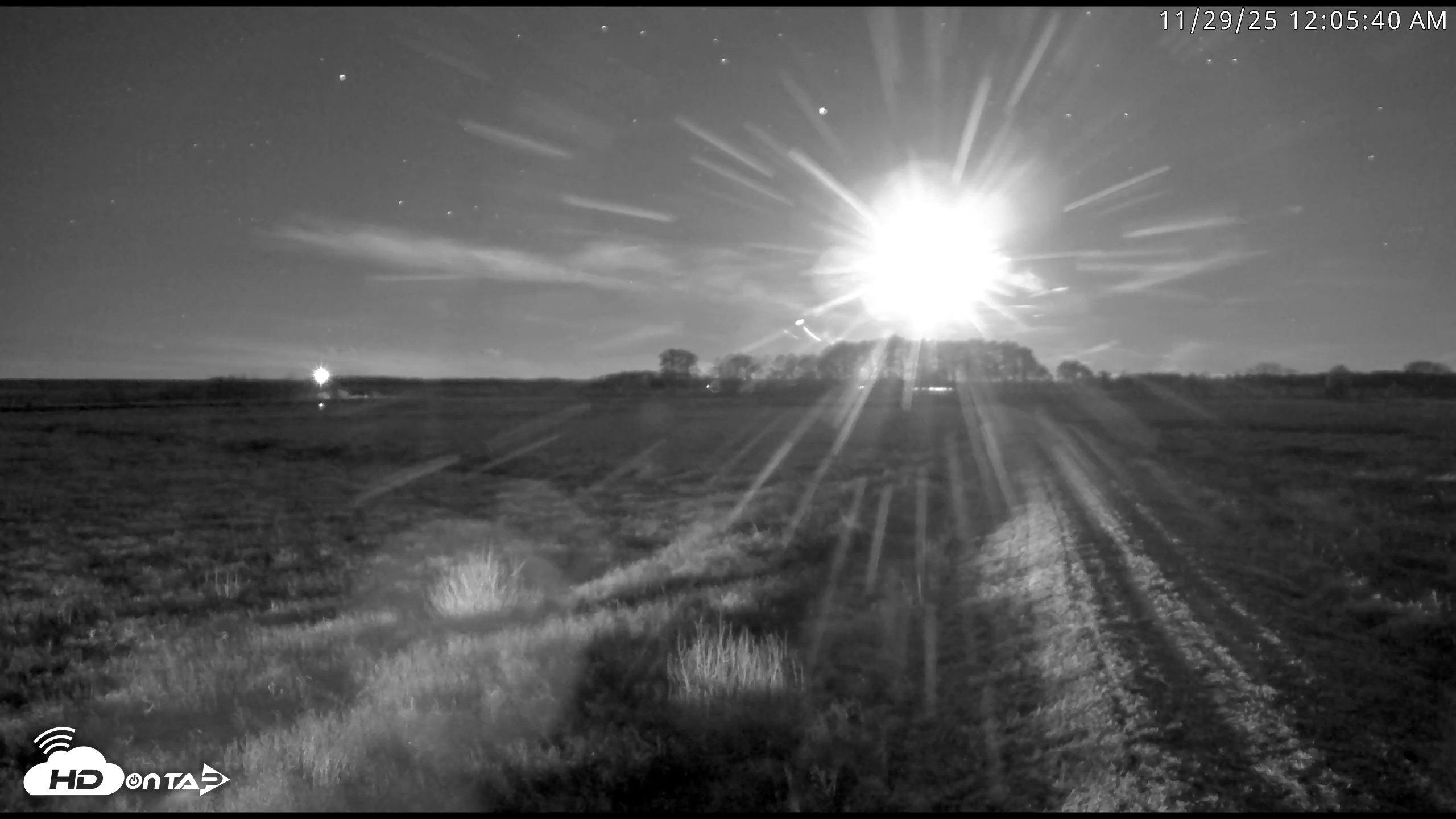 Snapshot of Blackwater Wildlife Refuge Waterfowl Live Webcam taken Nov 29, 2025, 12:05am EST