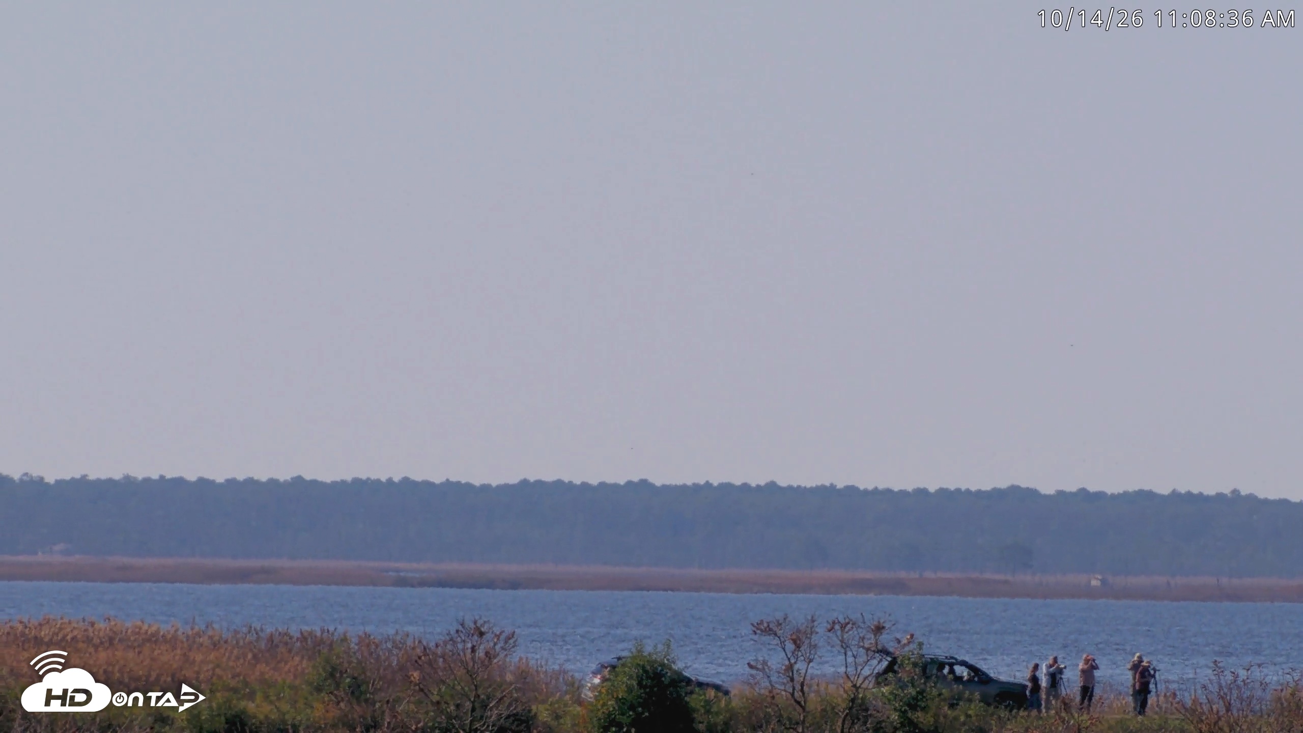 Snapshot of Blackwater Wildlife Refuge Waterfowl Live Webcam taken Oct 14, 2026, 11:09am EDT