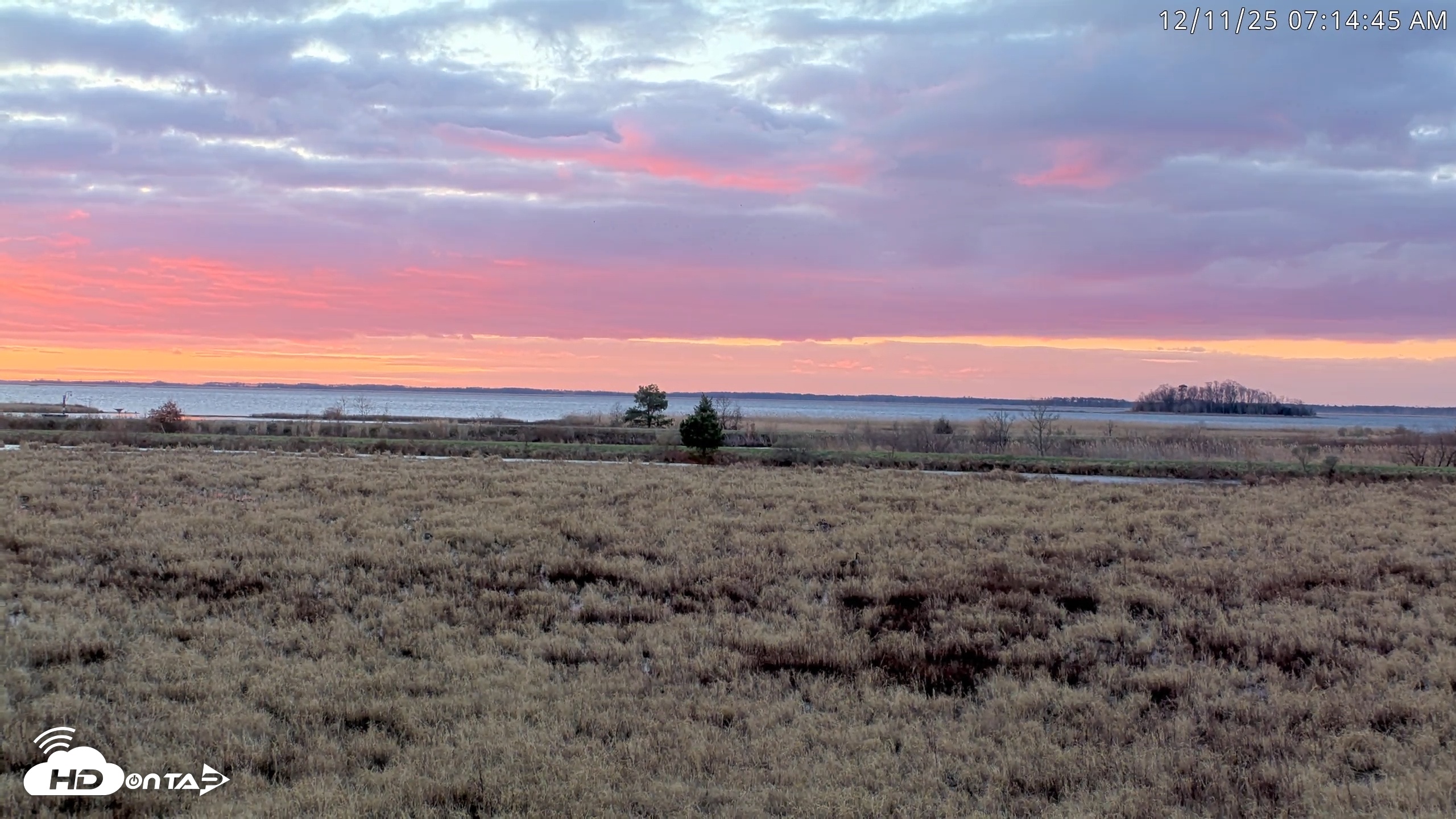 Snapshot of Blackwater Wildlife Refuge Waterfowl Live Webcam taken Dec 11, 2025, 7:12am EST