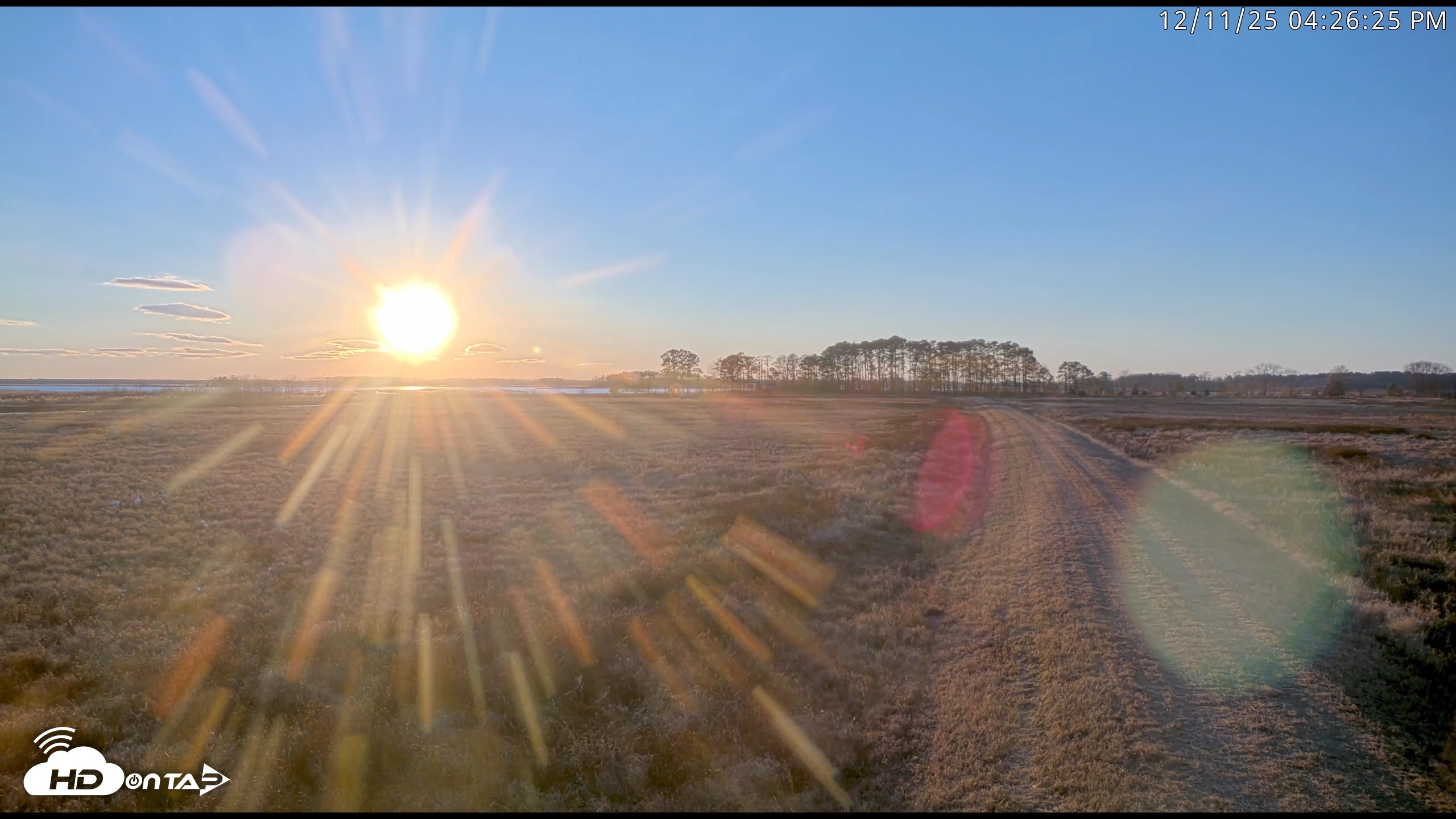Snapshot of Blackwater Wildlife Refuge Waterfowl Live Webcam taken Dec 11, 2025, 4:24pm EST