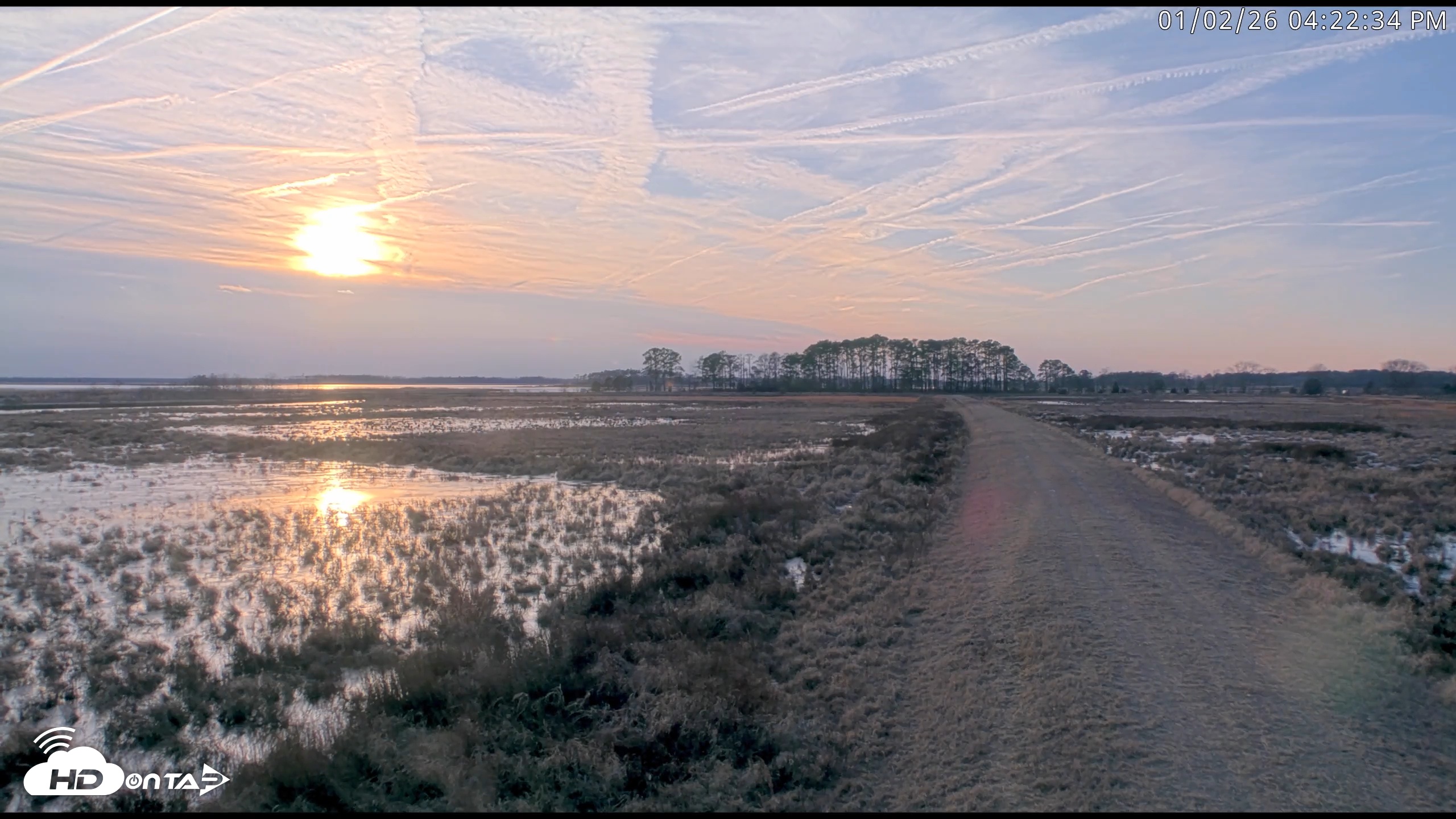 Snapshot of Blackwater Wildlife Refuge Waterfowl Live Webcam taken Jan 2, 2026, 4:19pm EST