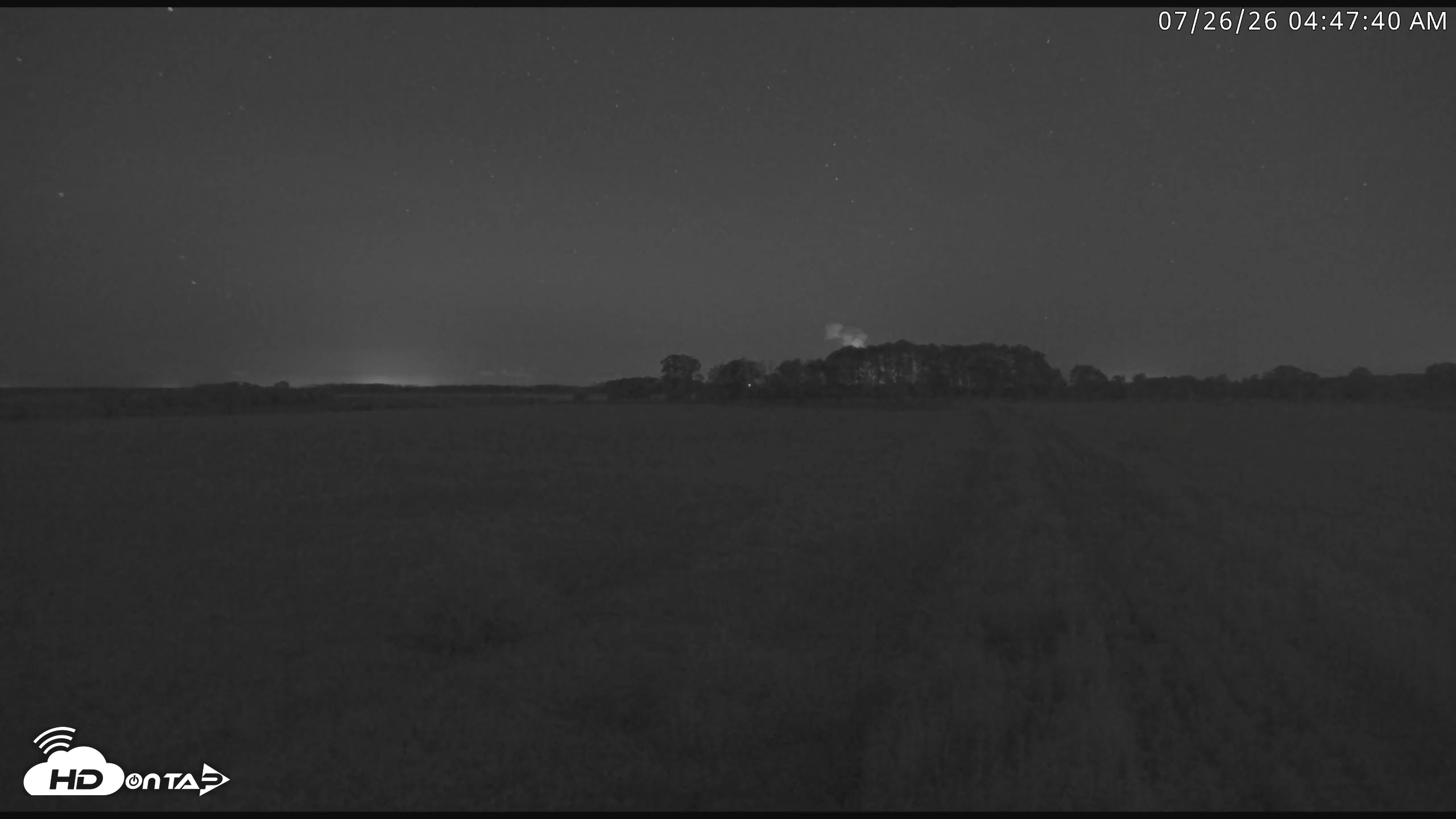 Snapshot of Blackwater Wildlife Refuge Waterfowl Live Webcam taken Jul 26, 2026, 4:48am EDT