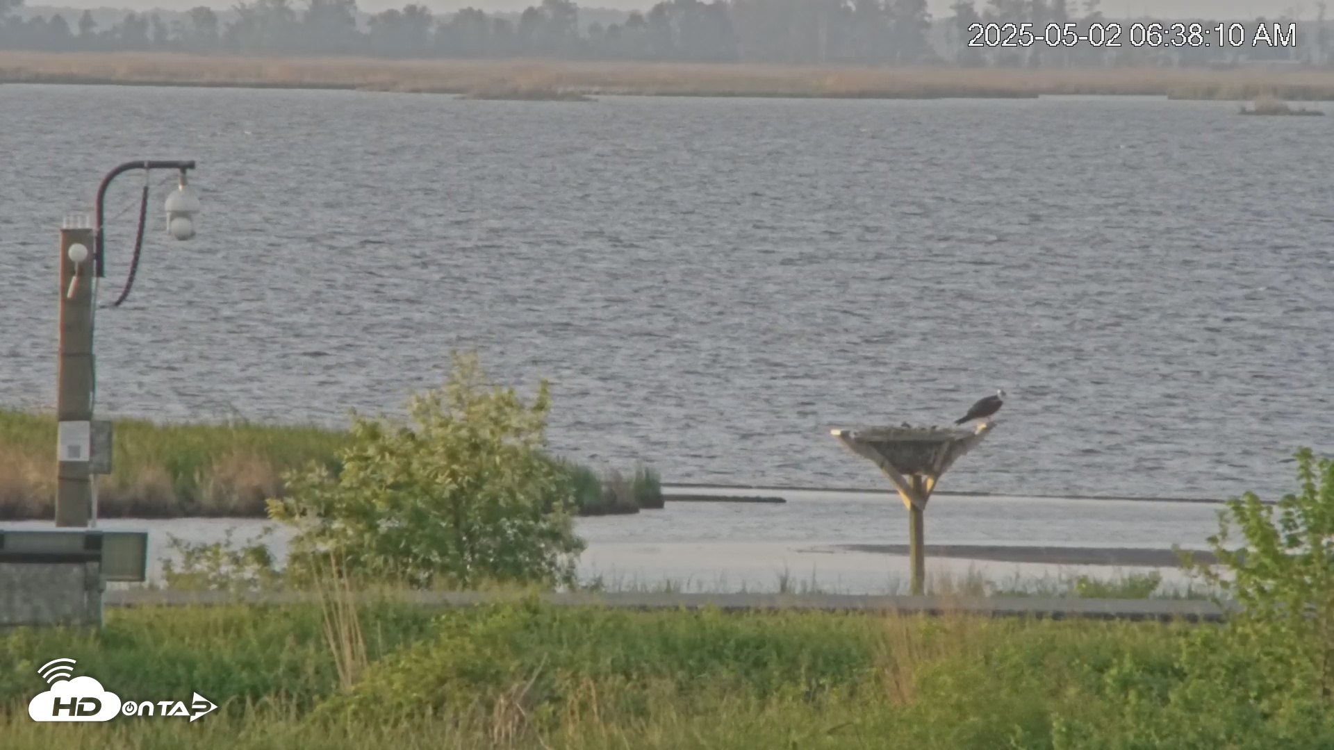 Snapshot of Blackwater Wildlife Refuge Waterfowl Live Webcam taken May 2, 2025, 6:38am EDT