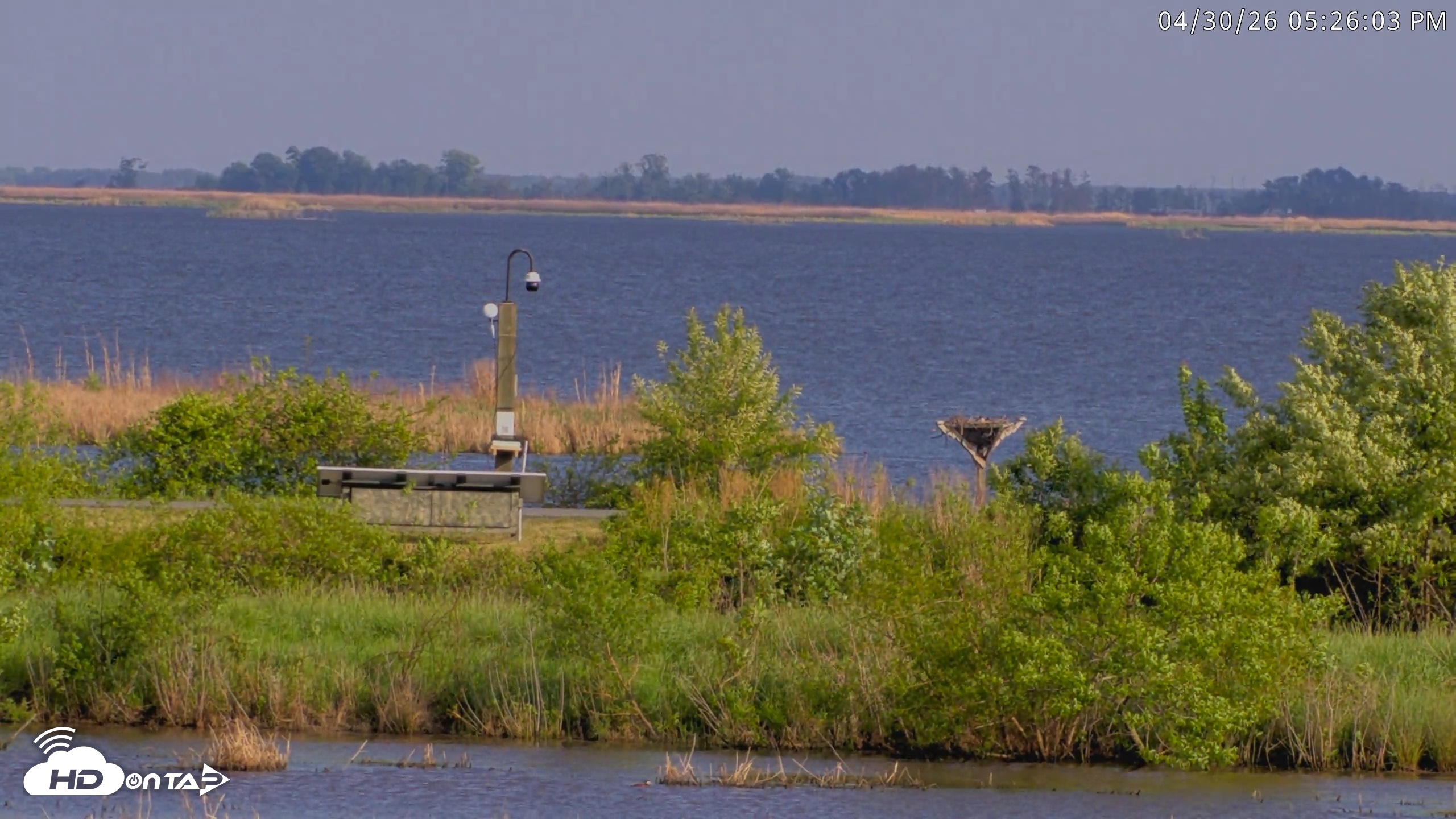 Snapshot of Blackwater Wildlife Refuge Waterfowl Live Webcam taken Apr 30, 2026, 5:26pm EDT