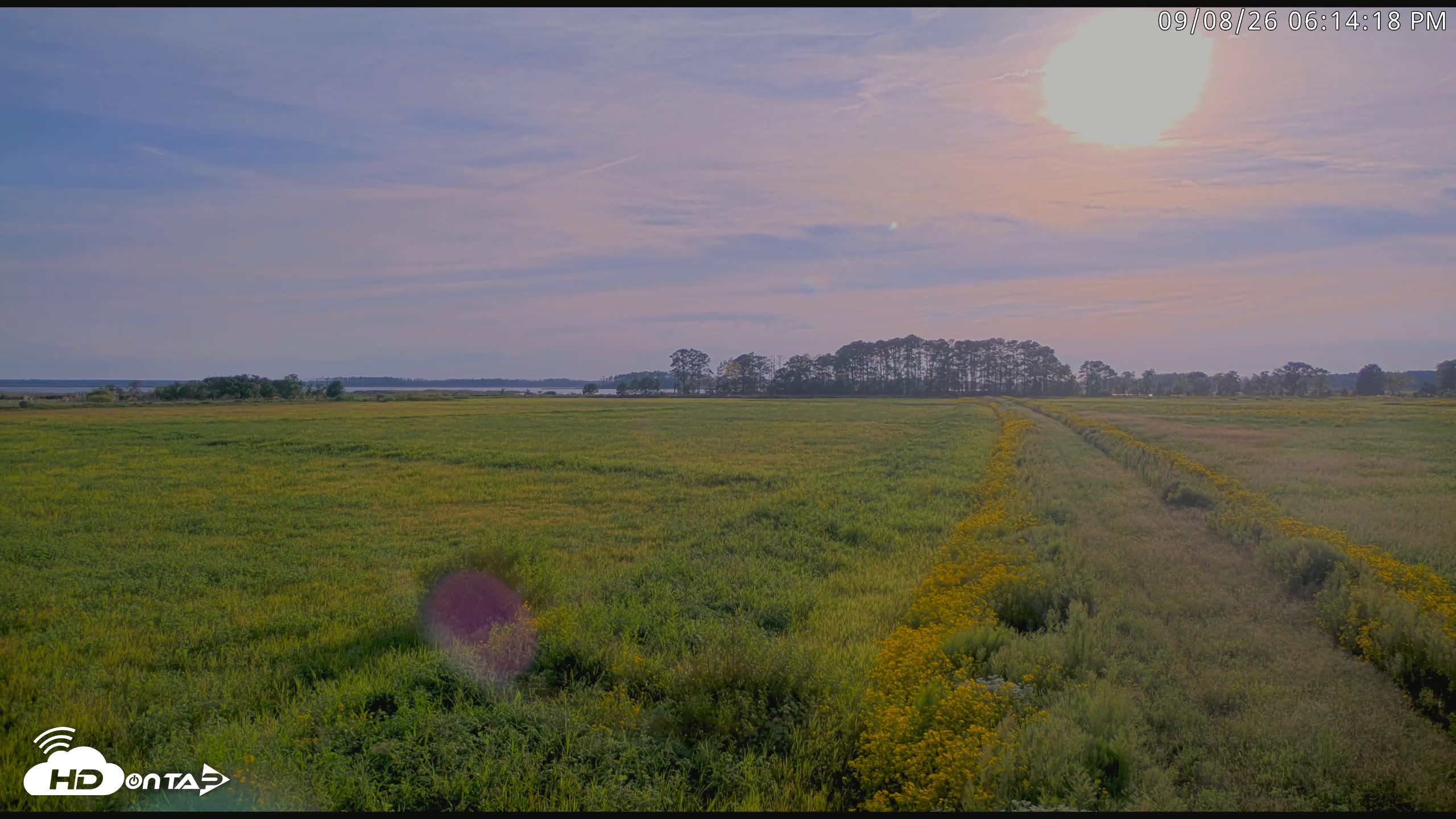 Snapshot of Blackwater Wildlife Refuge Waterfowl Live Webcam taken Sep 8, 2026, 6:14pm EDT