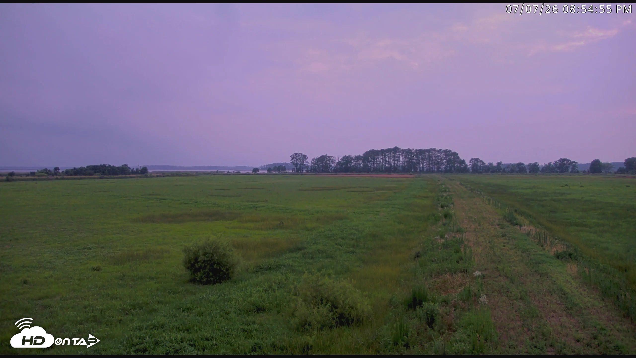 Snapshot of Blackwater Wildlife Refuge Waterfowl Live Webcam taken Jul 7, 2026, 8:55pm EDT