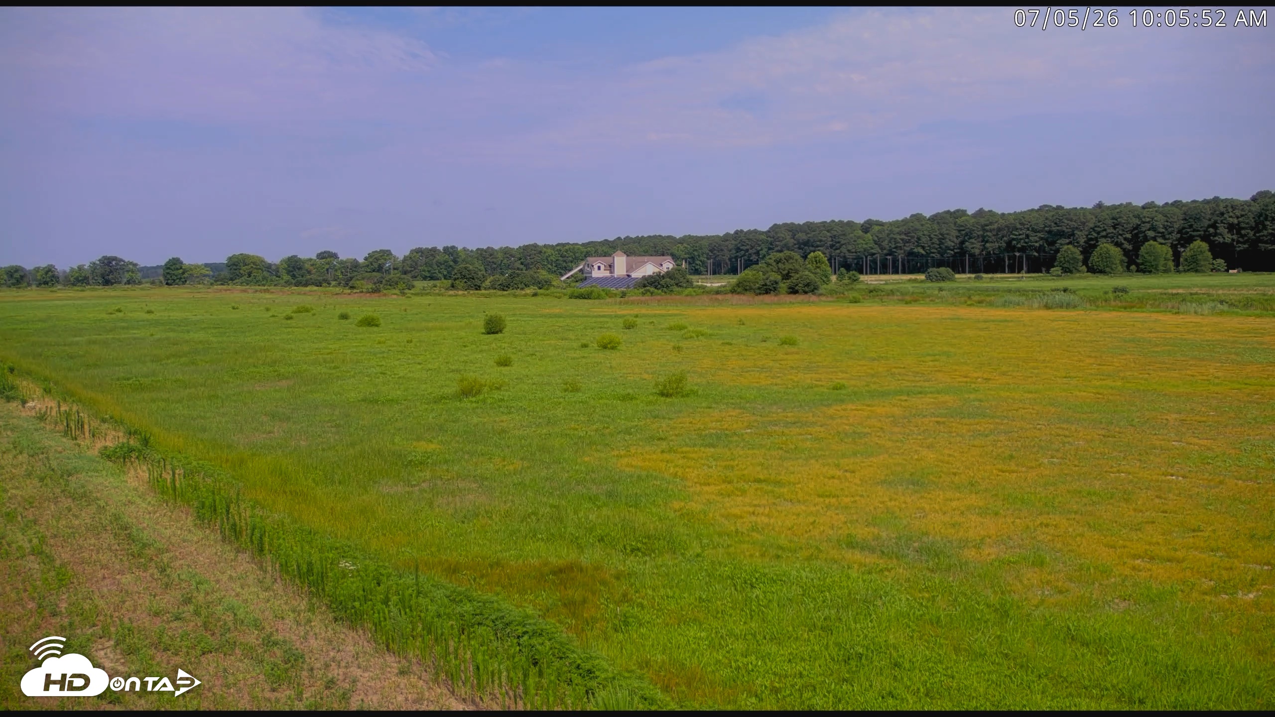 Snapshot of Blackwater Wildlife Refuge Waterfowl Live Webcam taken Jul 5, 2026, 10:06am EDT