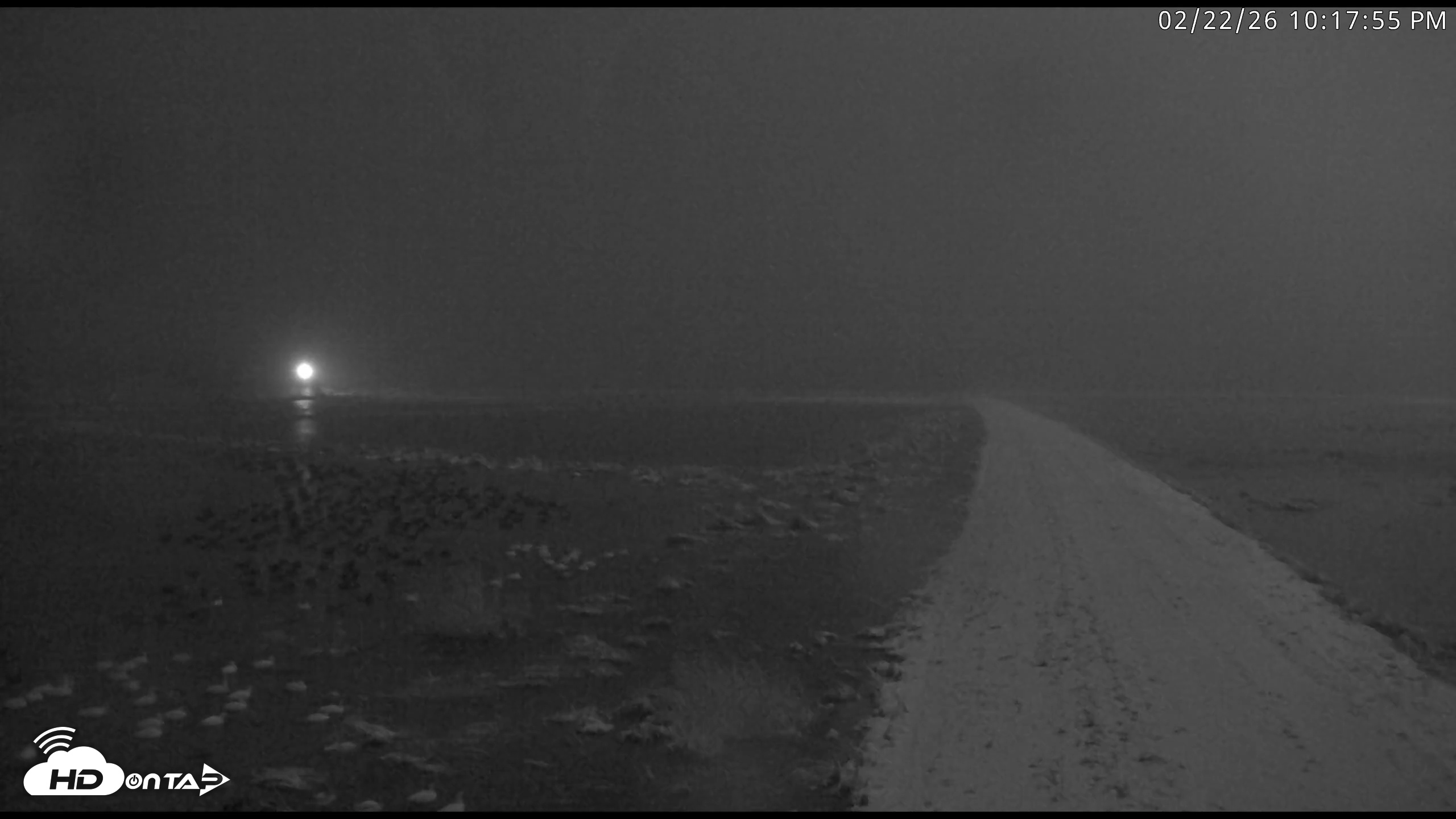 Snapshot of Blackwater Wildlife Refuge Waterfowl Live Webcam taken Feb 22, 2026, 10:18pm EST