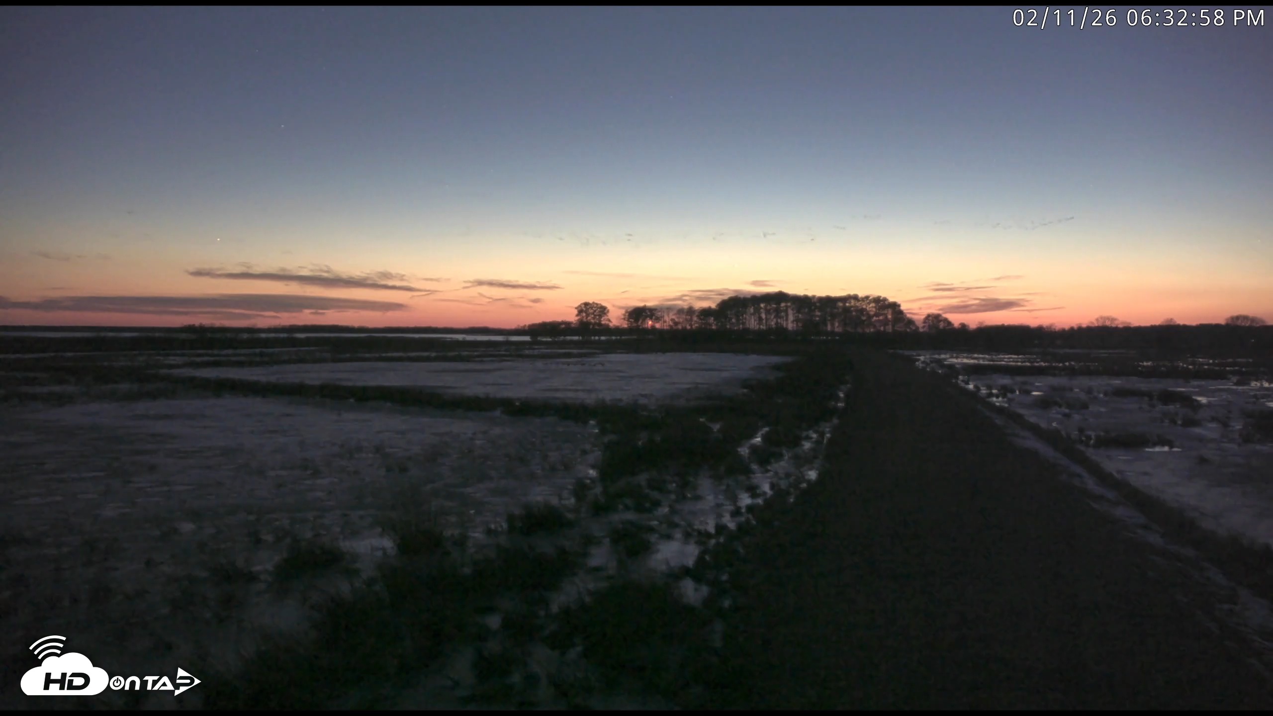 Snapshot of Blackwater Wildlife Refuge Waterfowl Live Webcam taken Feb 11, 2026, 6:33pm EST