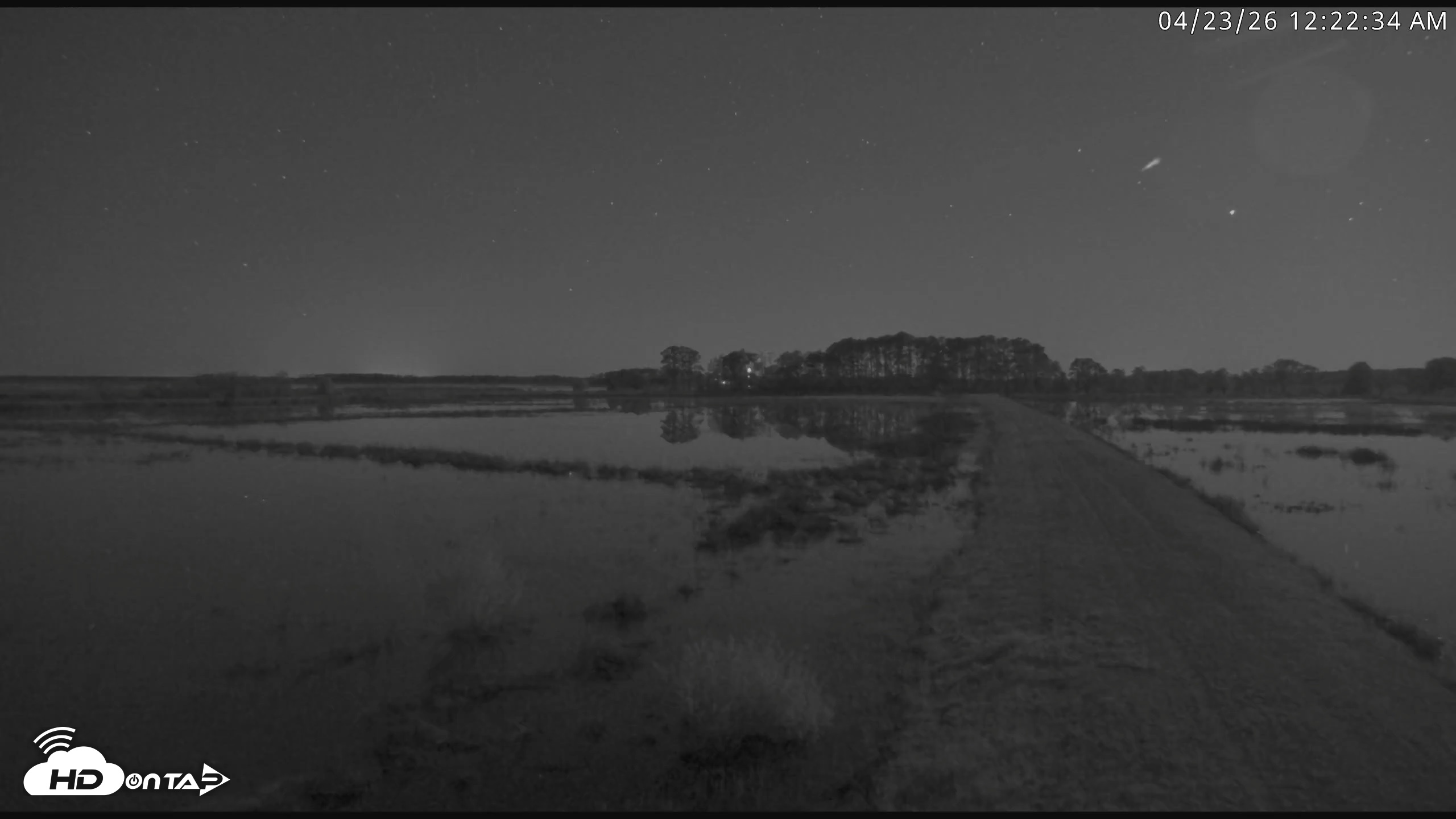 Snapshot of Blackwater Wildlife Refuge Waterfowl Live Webcam taken Apr 23, 2026, 12:23am EDT