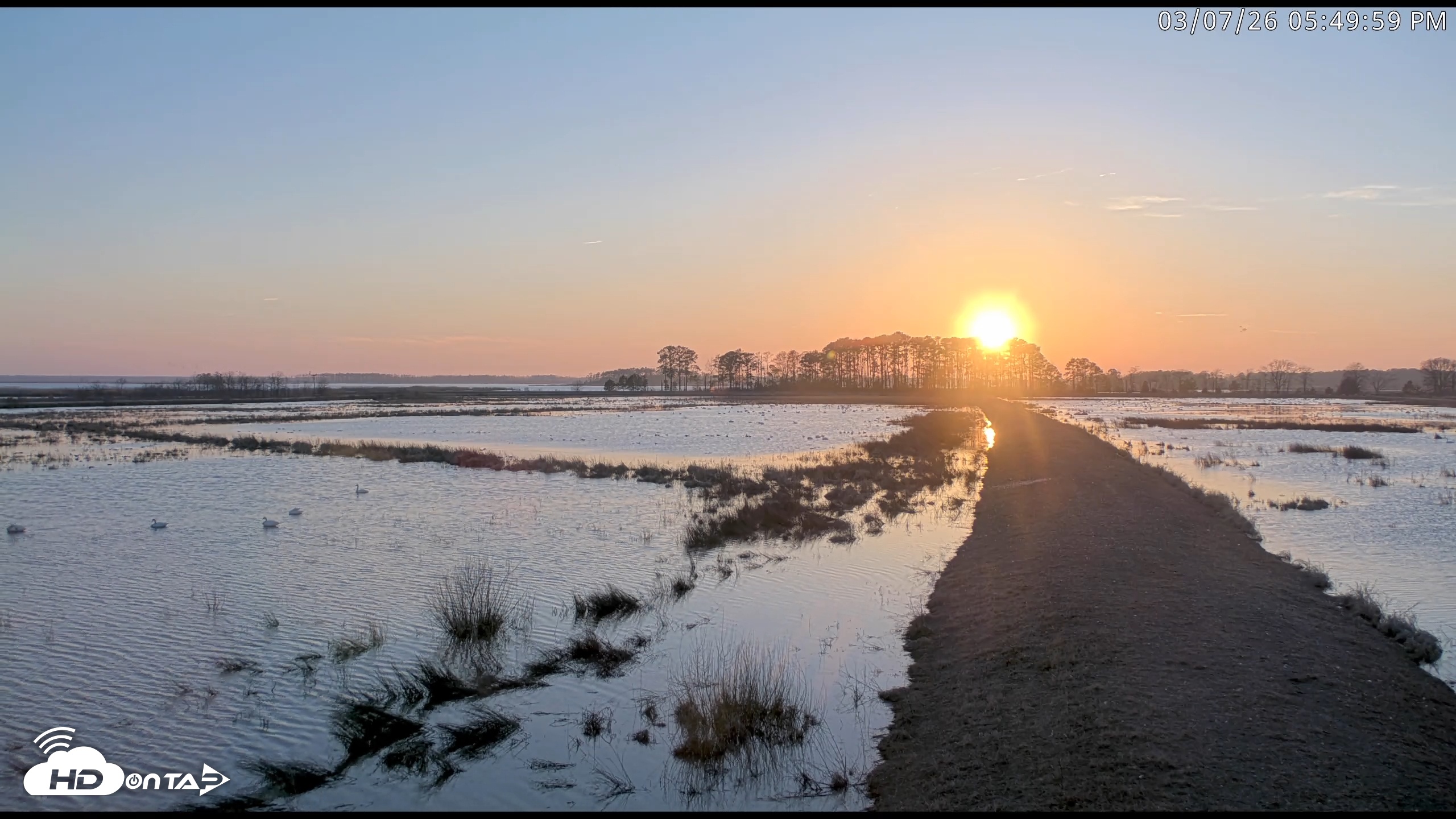 Snapshot of Blackwater Wildlife Refuge Waterfowl Live Webcam taken Mar 7, 2026, 5:51pm EST