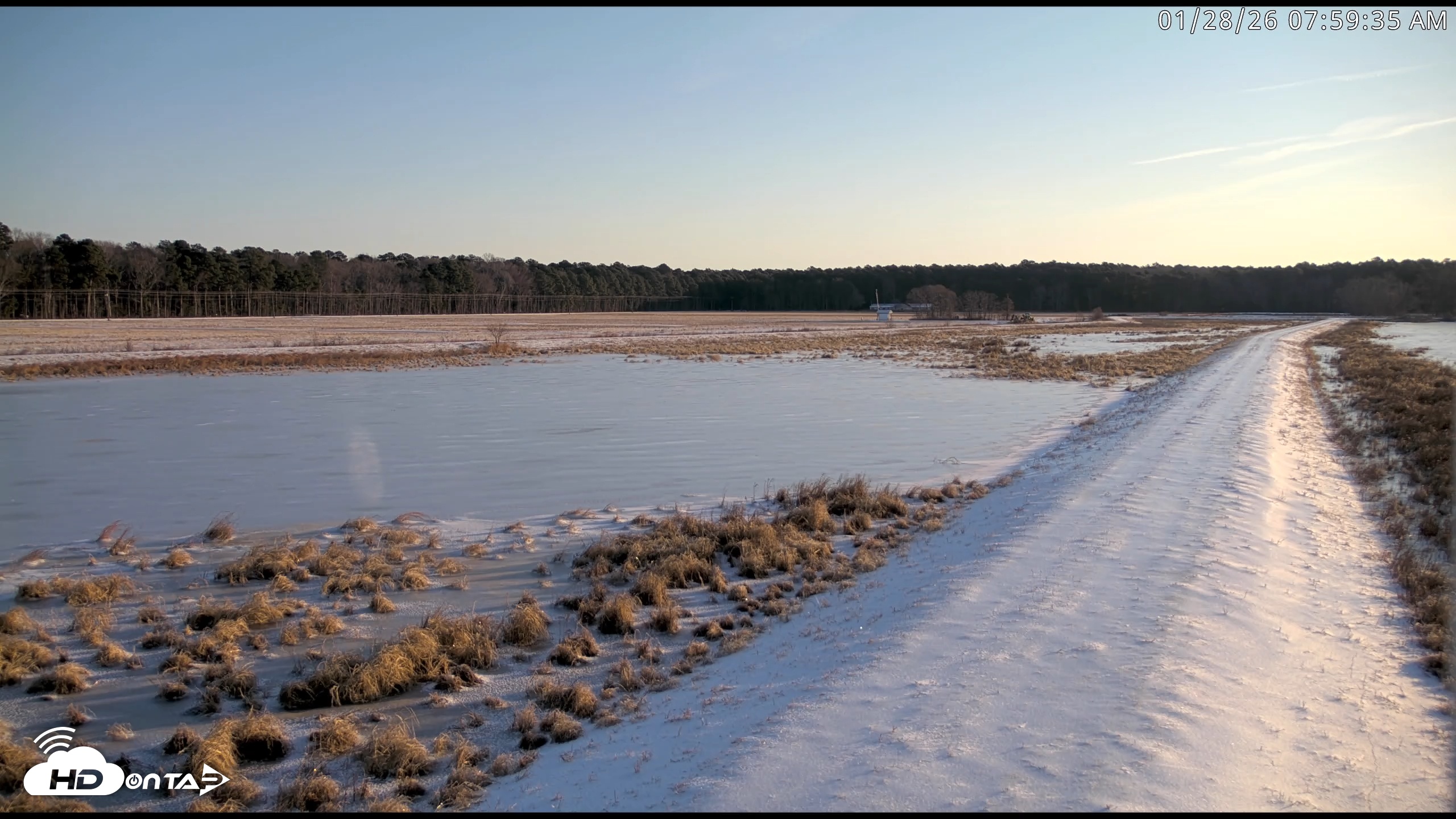 Snapshot of Blackwater Wildlife Refuge Waterfowl Live Webcam taken Jan 28, 2026, 8:00am EST