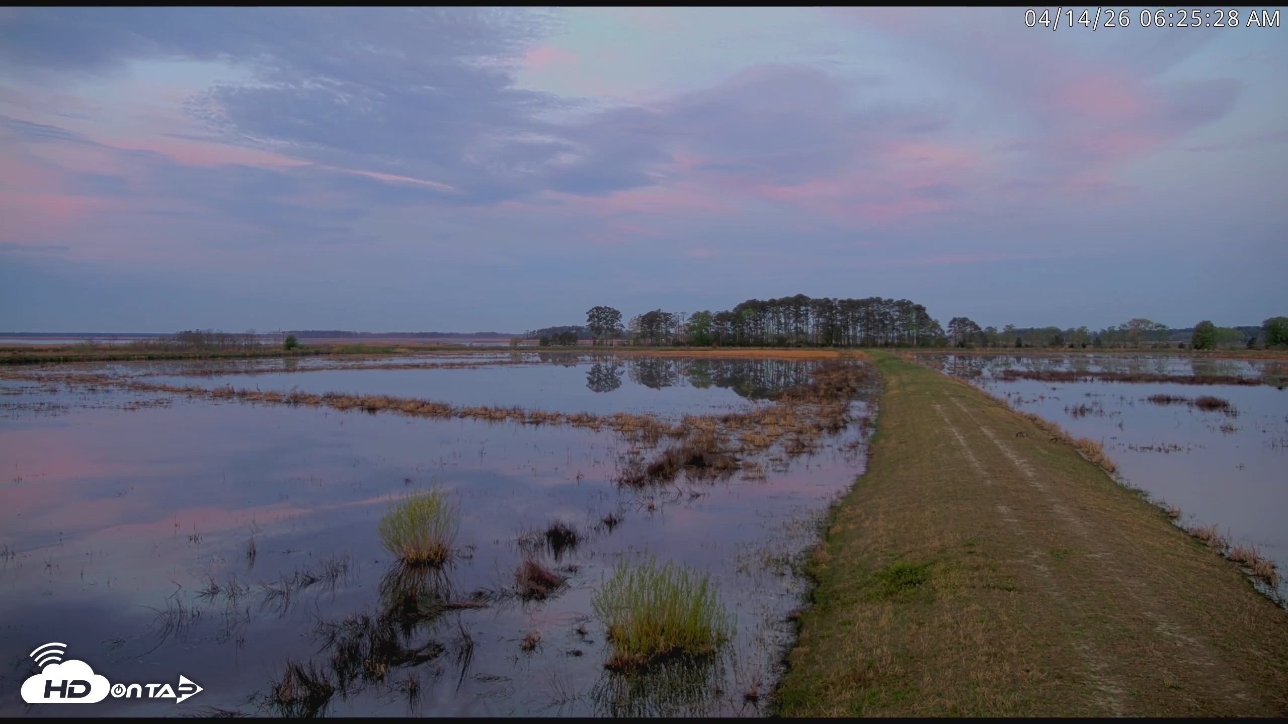 Snapshot of Blackwater Wildlife Refuge Waterfowl Live Webcam taken Apr 14, 2026, 6:26am EDT