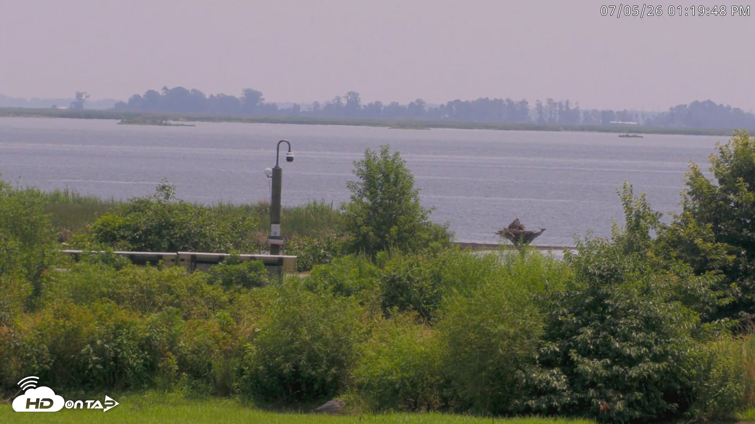Snapshot of Blackwater Wildlife Refuge Waterfowl Live Webcam taken Jul 5, 2026, 1:21pm EDT
