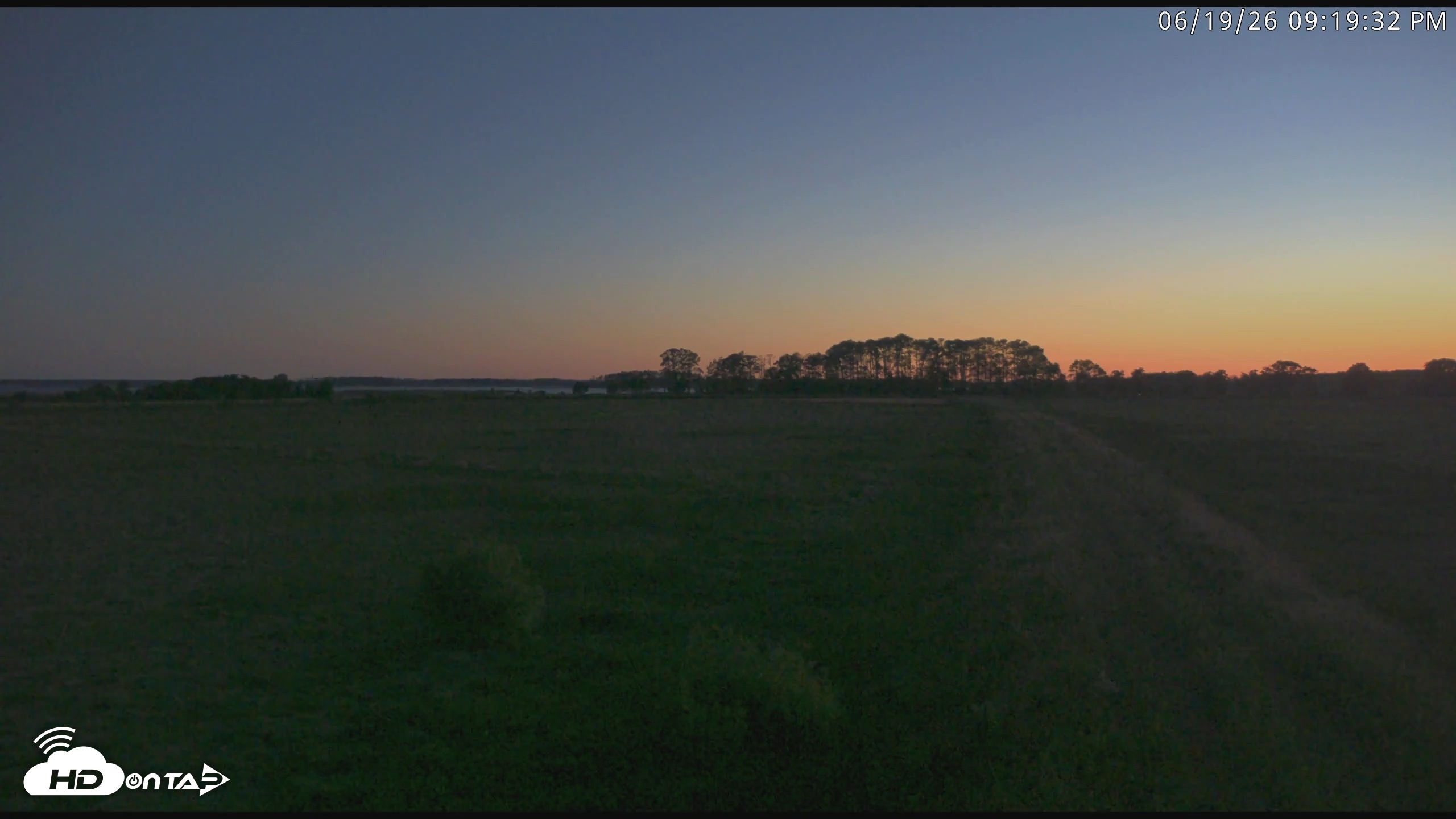 Snapshot of Blackwater Wildlife Refuge Waterfowl Live Webcam taken Jun 19, 2026, 9:20pm EDT