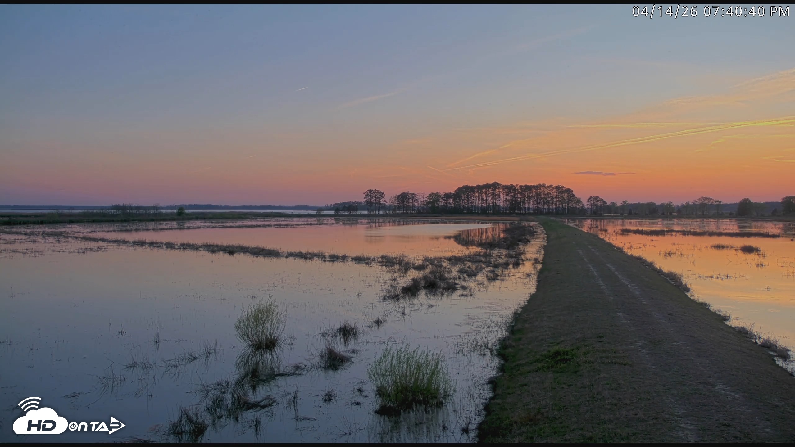Snapshot of Blackwater Wildlife Refuge Waterfowl Live Webcam taken Apr 14, 2026, 7:41pm EDT