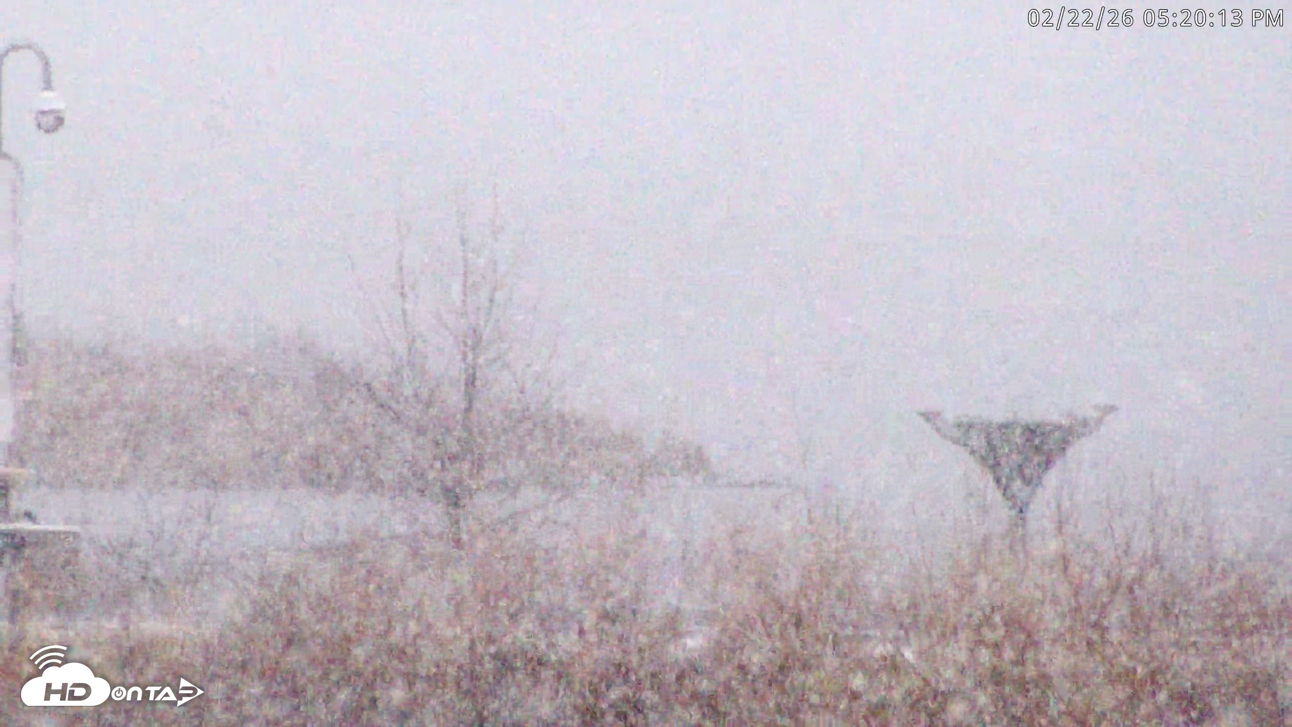 Snapshot of Blackwater Wildlife Refuge Waterfowl Live Webcam taken Feb 22, 2026, 5:21pm EST