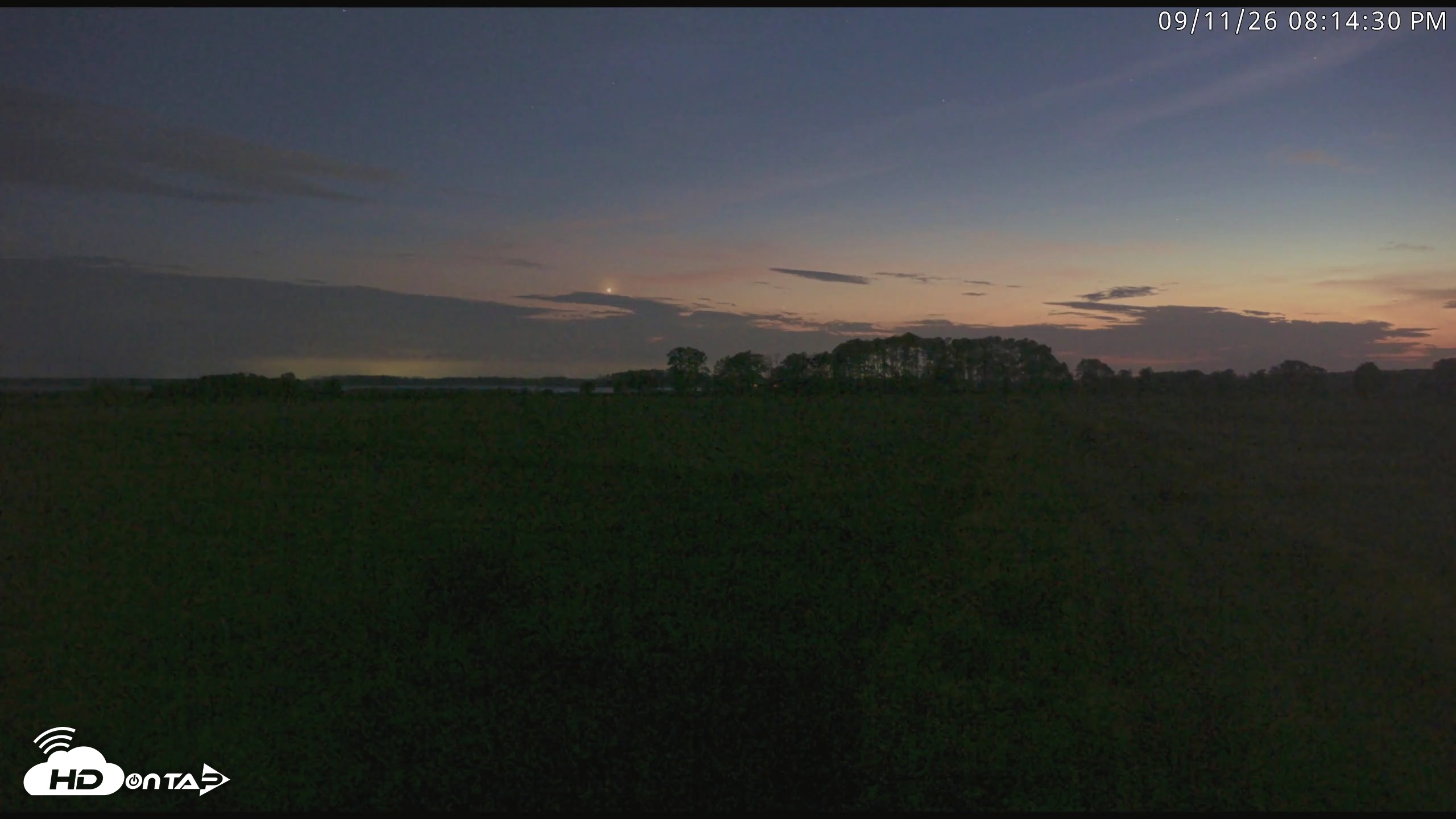 Snapshot of Blackwater Wildlife Refuge Waterfowl Live Webcam taken Sep 11, 2026, 8:15pm EDT