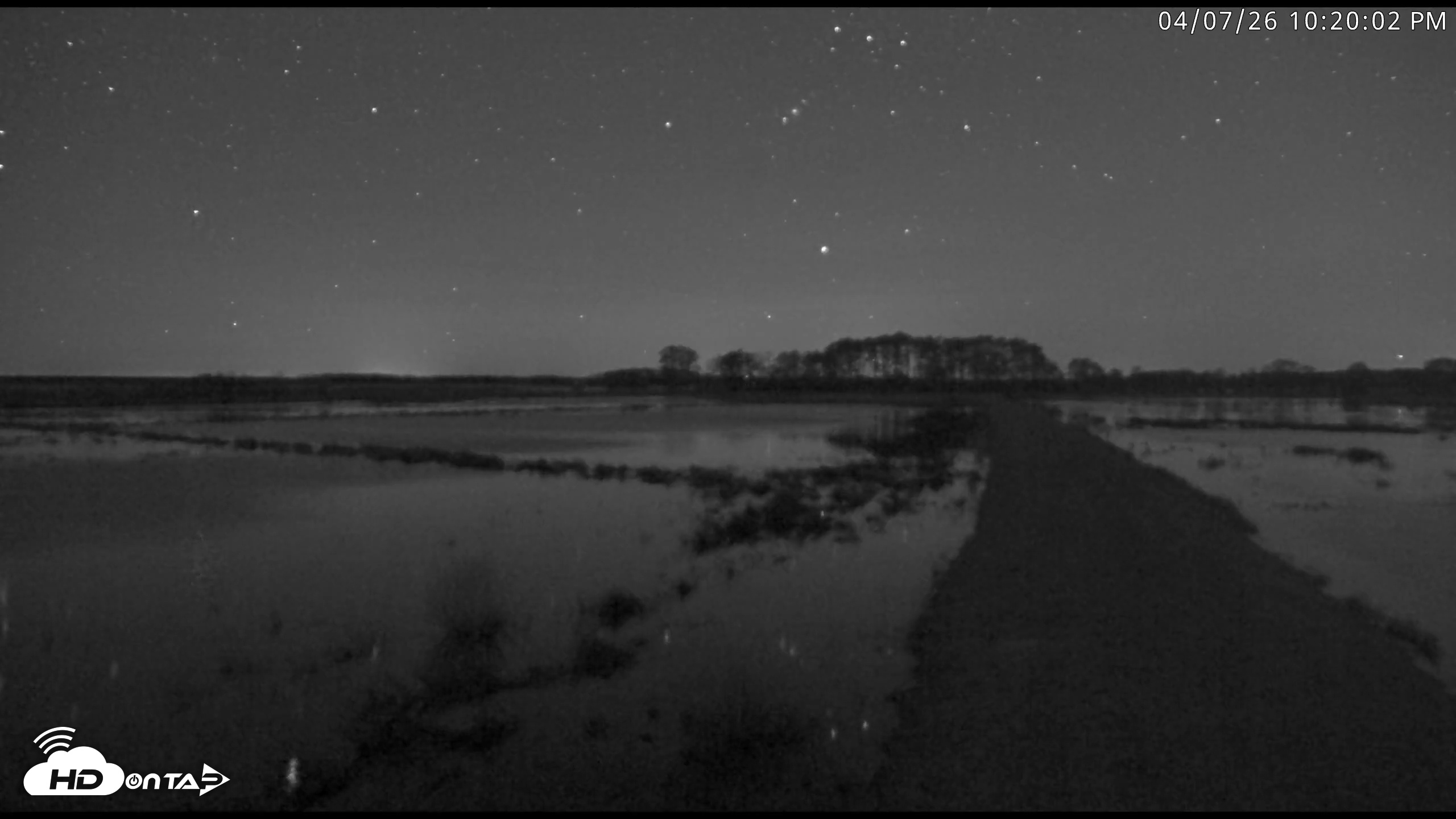Snapshot of Blackwater Wildlife Refuge Waterfowl Live Webcam taken Apr 7, 2026, 10:20pm EDT