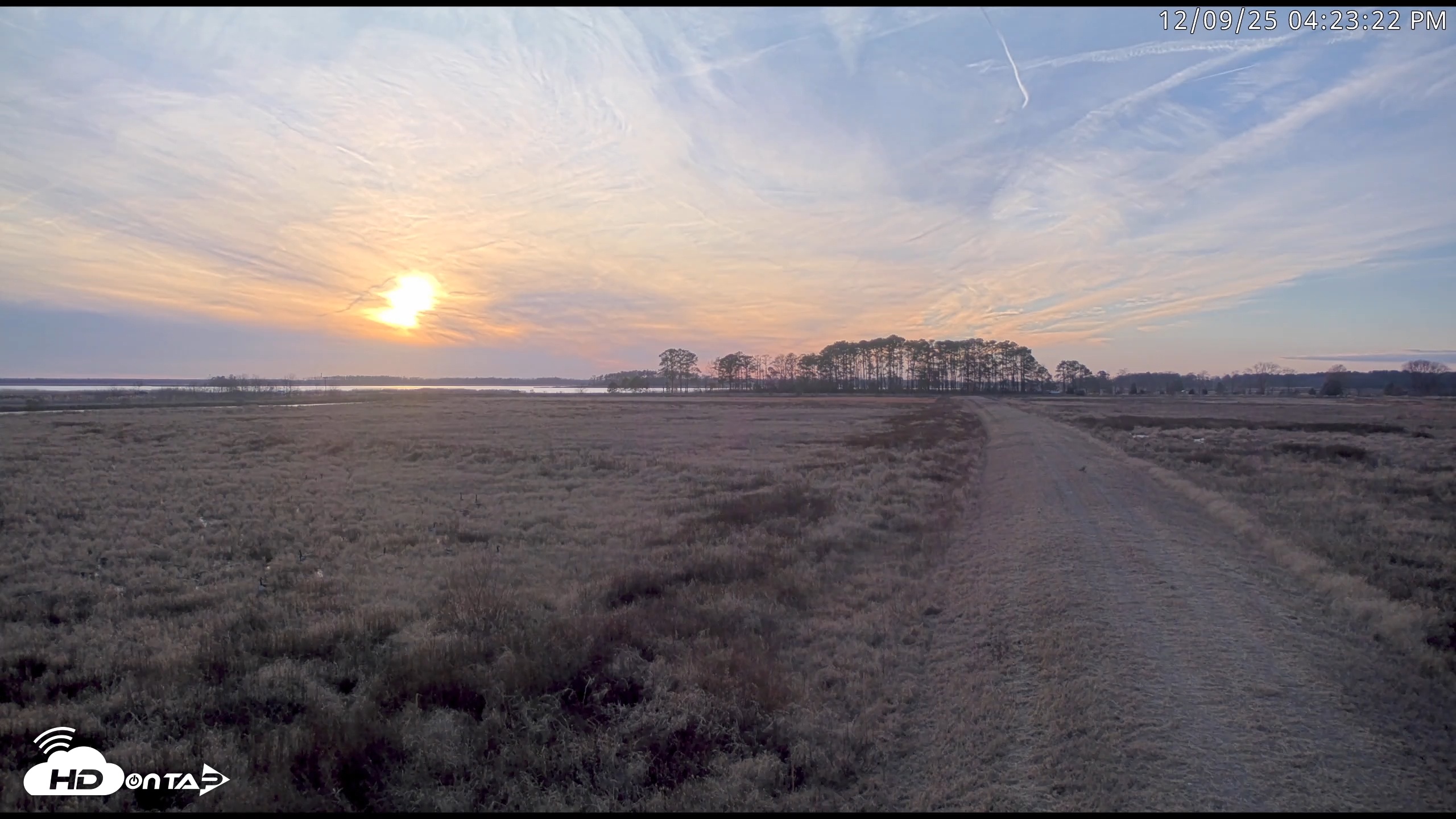 Snapshot of Blackwater Wildlife Refuge Waterfowl Live Webcam taken Dec 9, 2025, 4:22pm EST