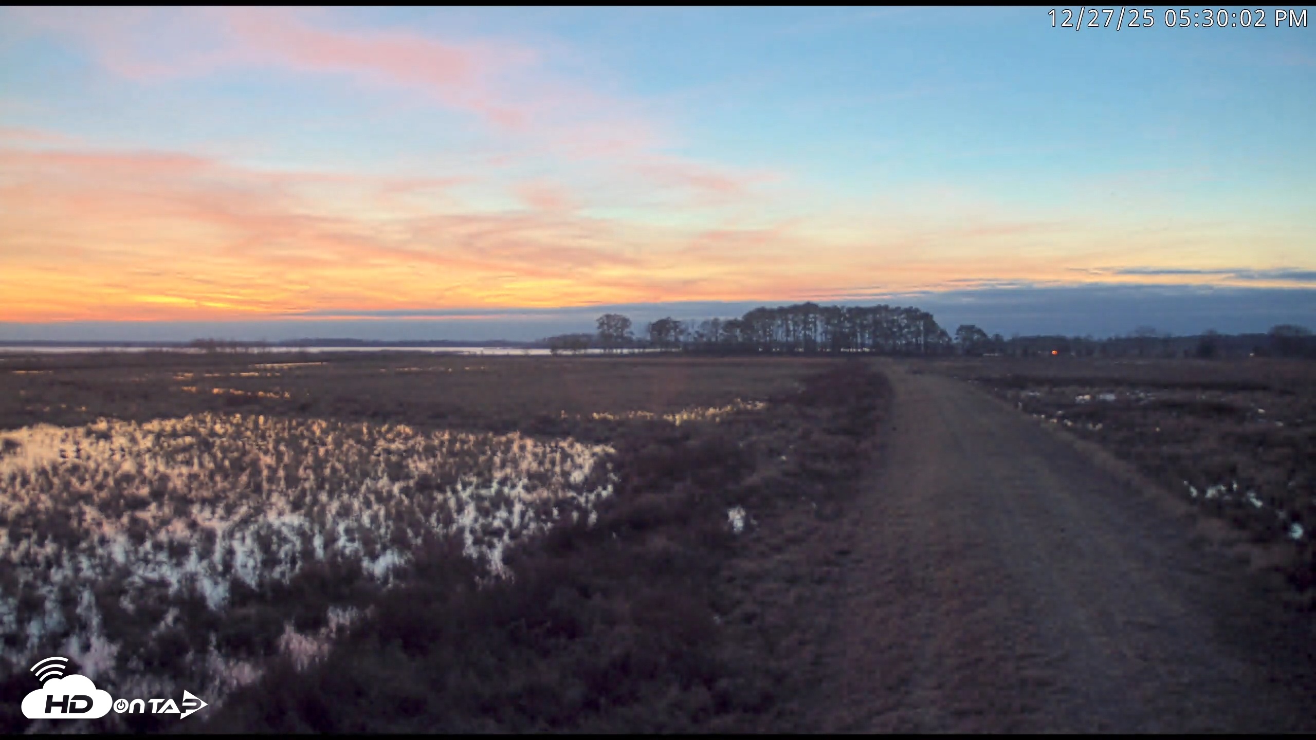 Snapshot of Blackwater Wildlife Refuge Waterfowl Live Webcam taken Dec 27, 2025, 5:27pm EST