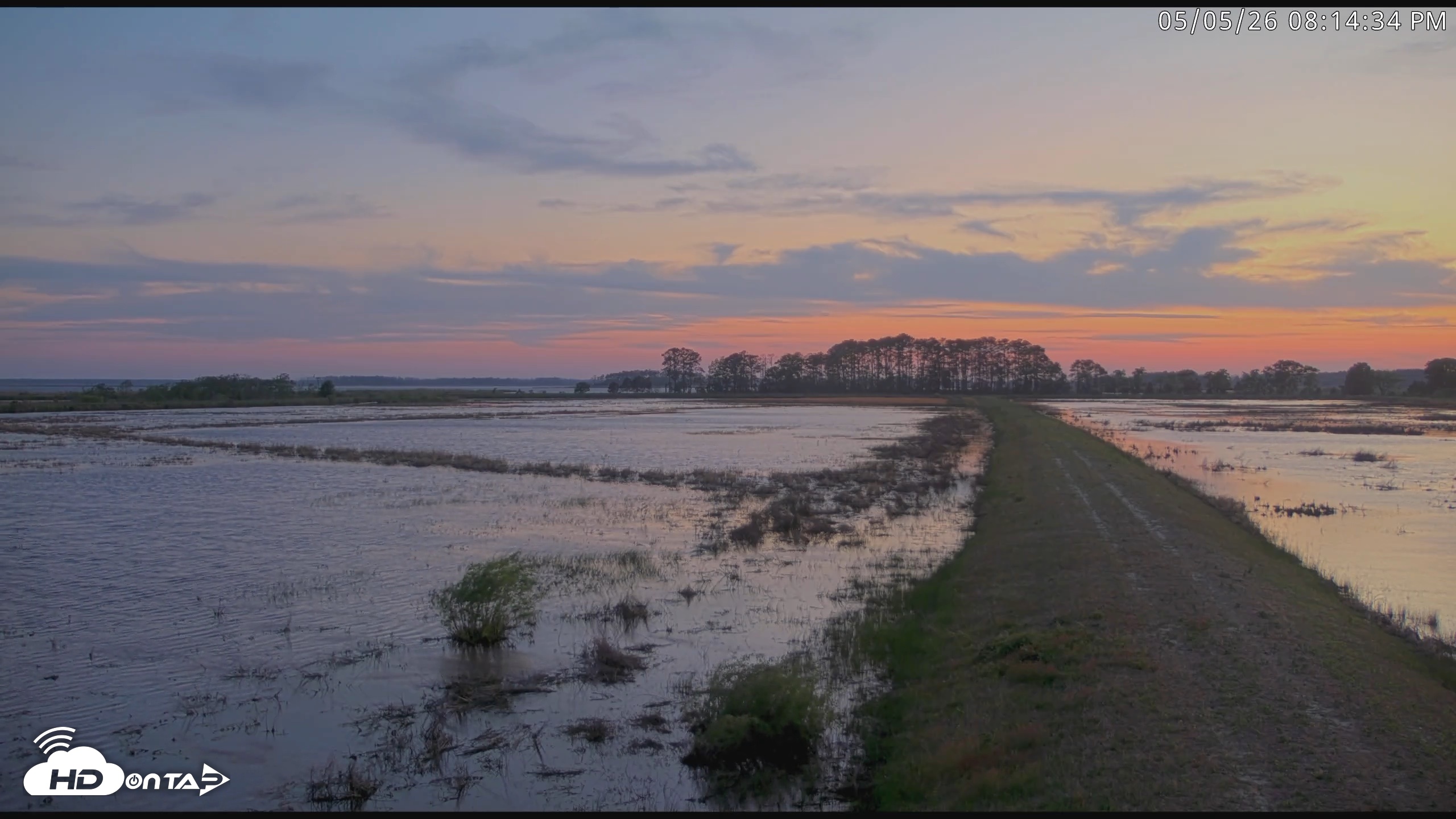 Snapshot of Blackwater Wildlife Refuge Waterfowl Live Webcam taken May 5, 2026, 8:15pm EDT
