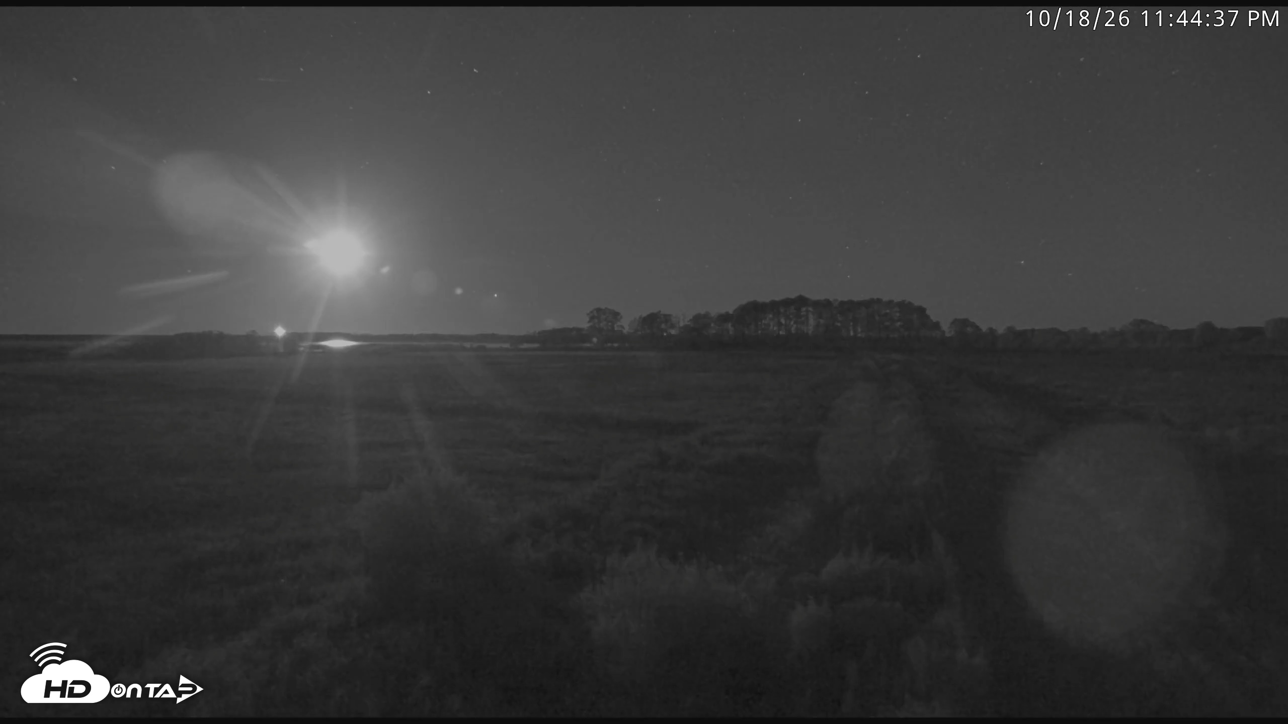 Snapshot of Blackwater Wildlife Refuge Waterfowl Live Webcam taken Oct 18, 2026, 11:45pm EDT