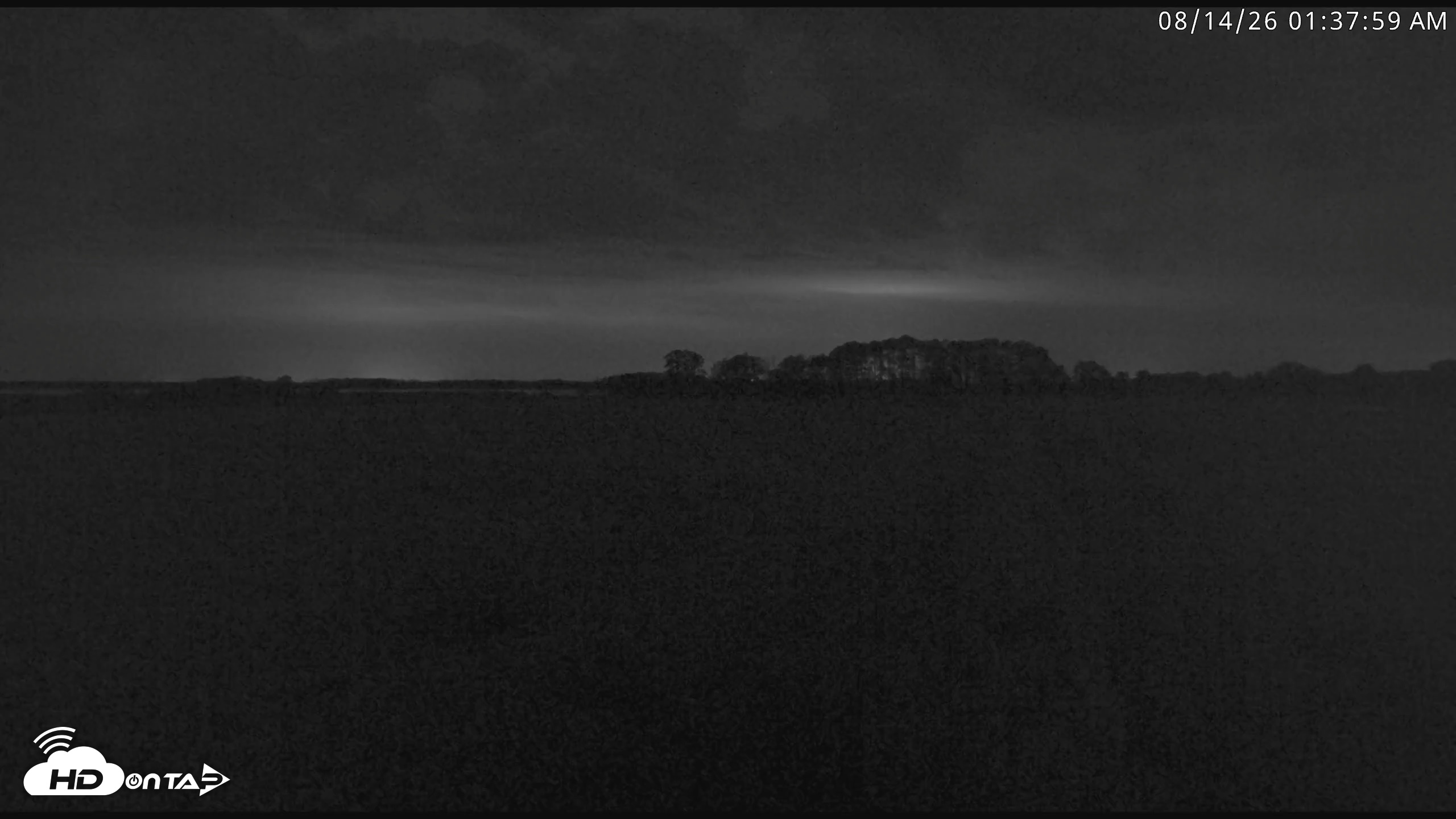 Snapshot of Blackwater Wildlife Refuge Waterfowl Live Webcam taken Aug 14, 2026, 1:38am EDT