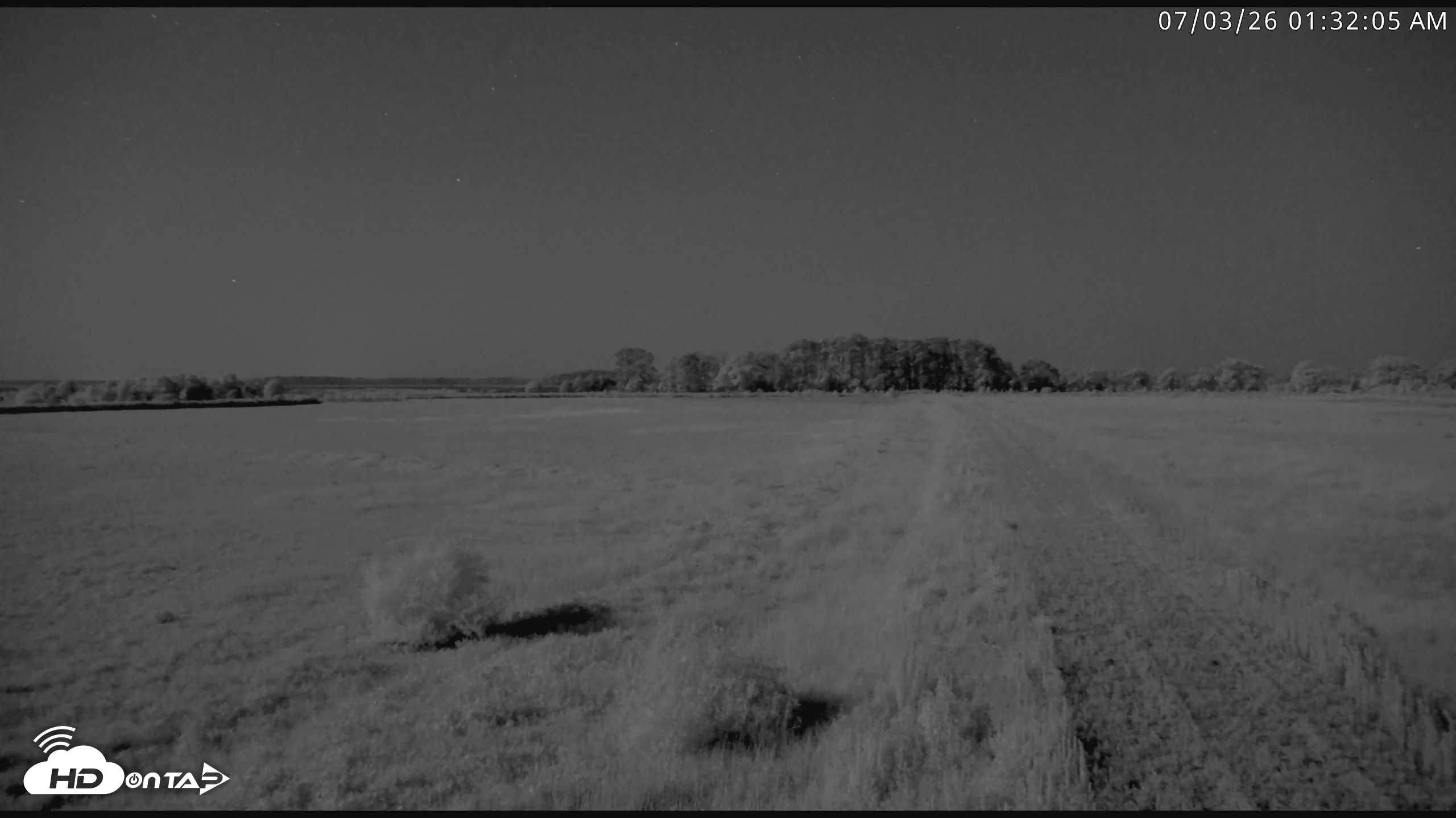 Snapshot of Blackwater Wildlife Refuge Waterfowl Live Webcam taken Jul 3, 2026, 1:33am EDT